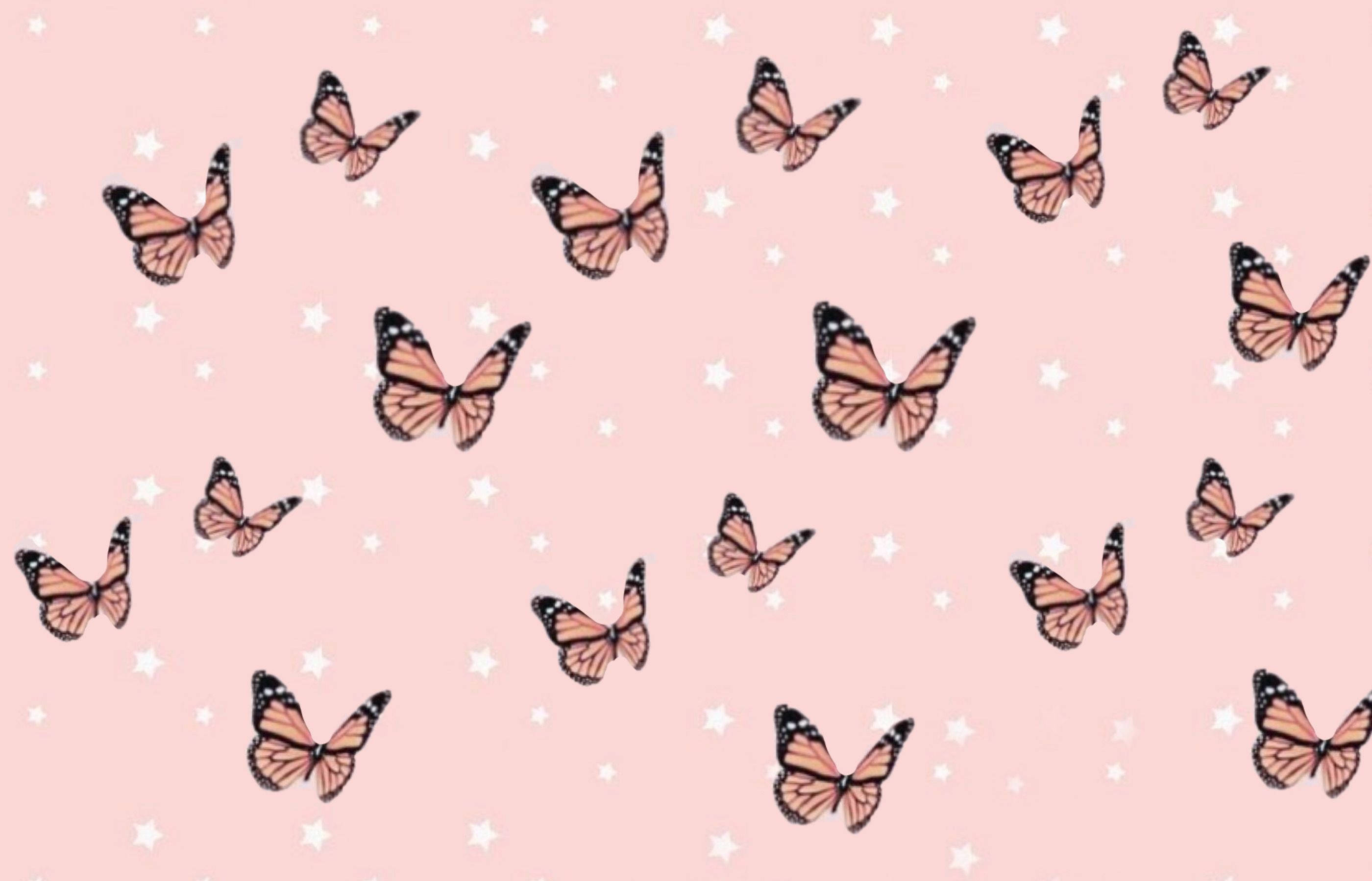 pink butterfly, stars, soft pink backdrop, 2K Desktop Wallpaper