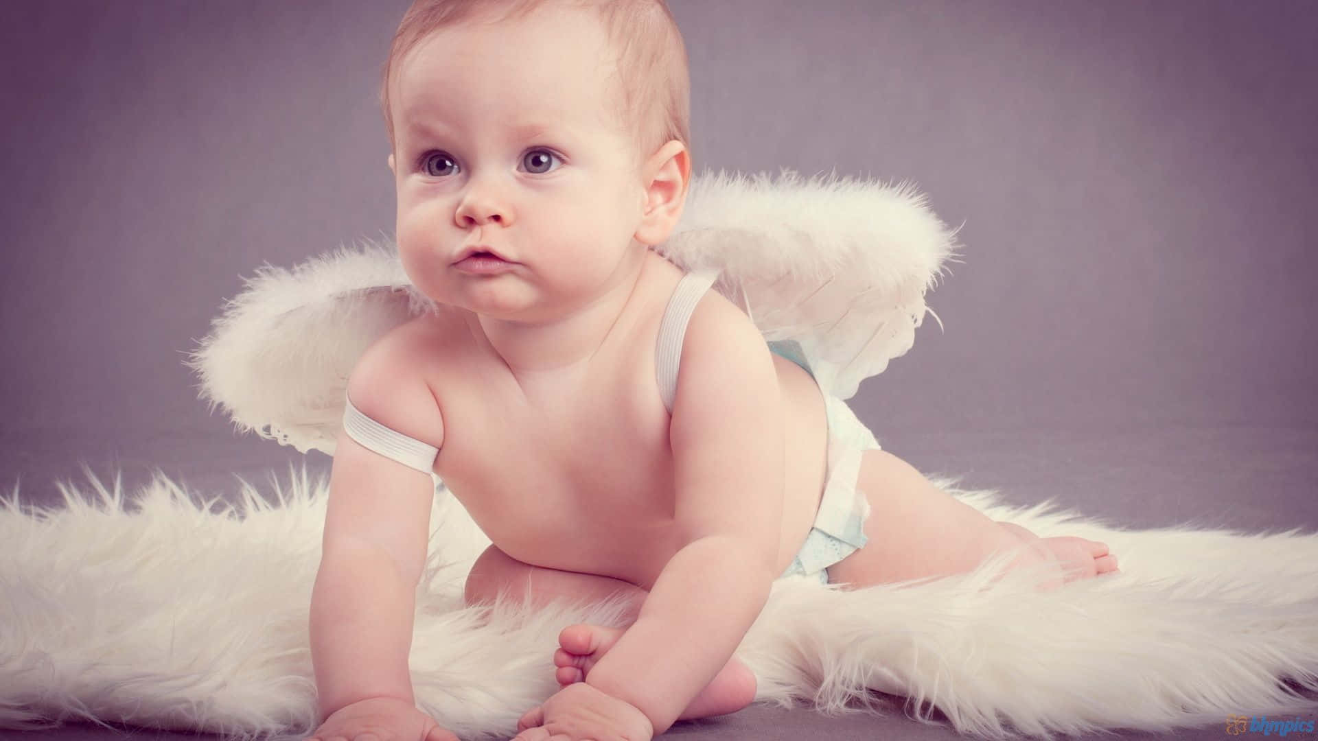 cute angels, angel wings, fluffy white rug, Full HD Desktop Wallpaper