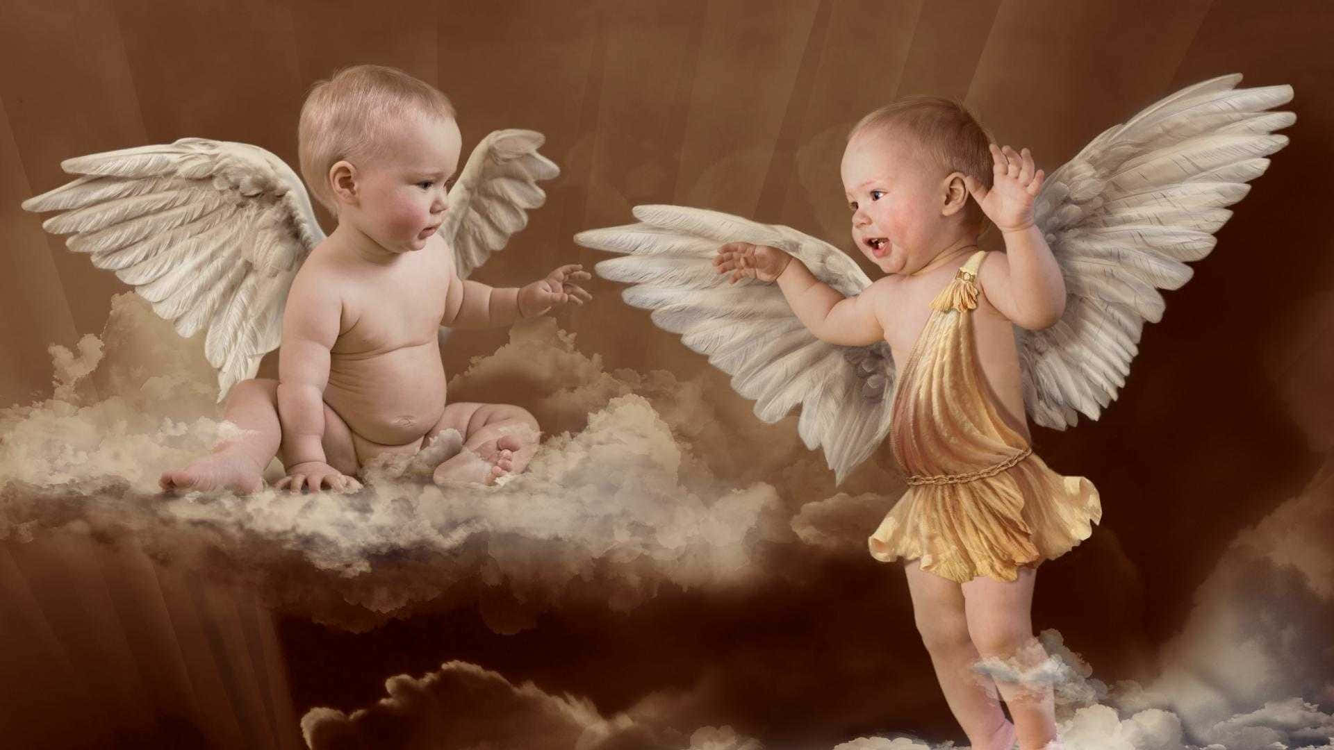 Cute Angels, baby angels, feathered wings, Full HD Desktop Wallpaper