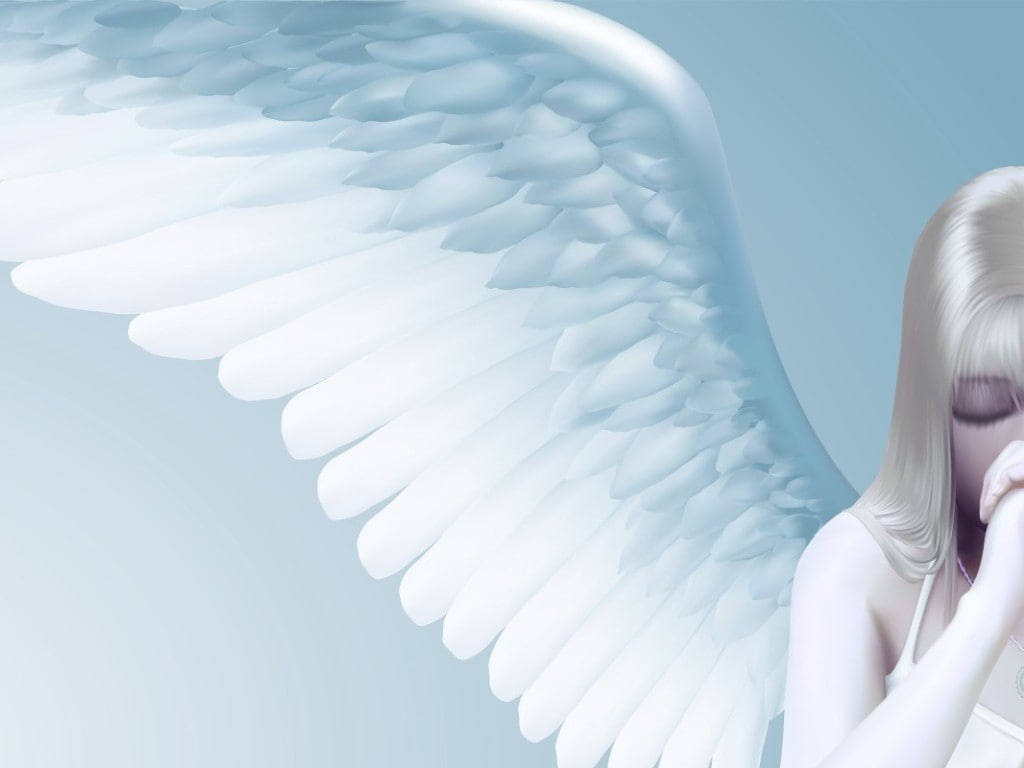 Serene Beautiful Angels, large white wings, blonde hair, SD Desktop Wallpaper