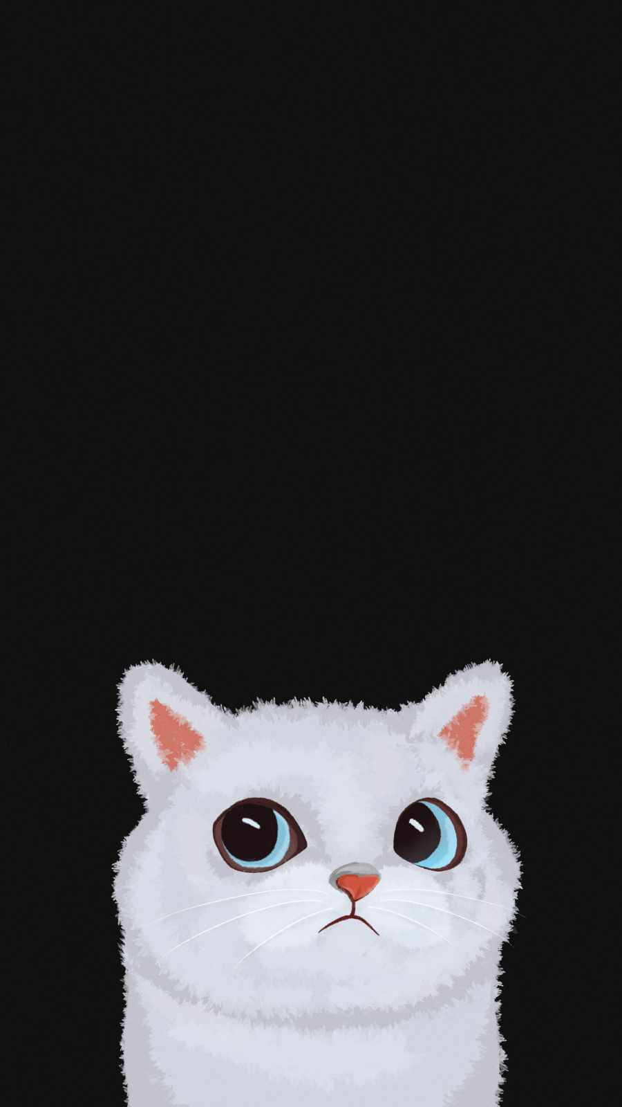 white cat, blue eyes, black background, HD Phone Wallpaper