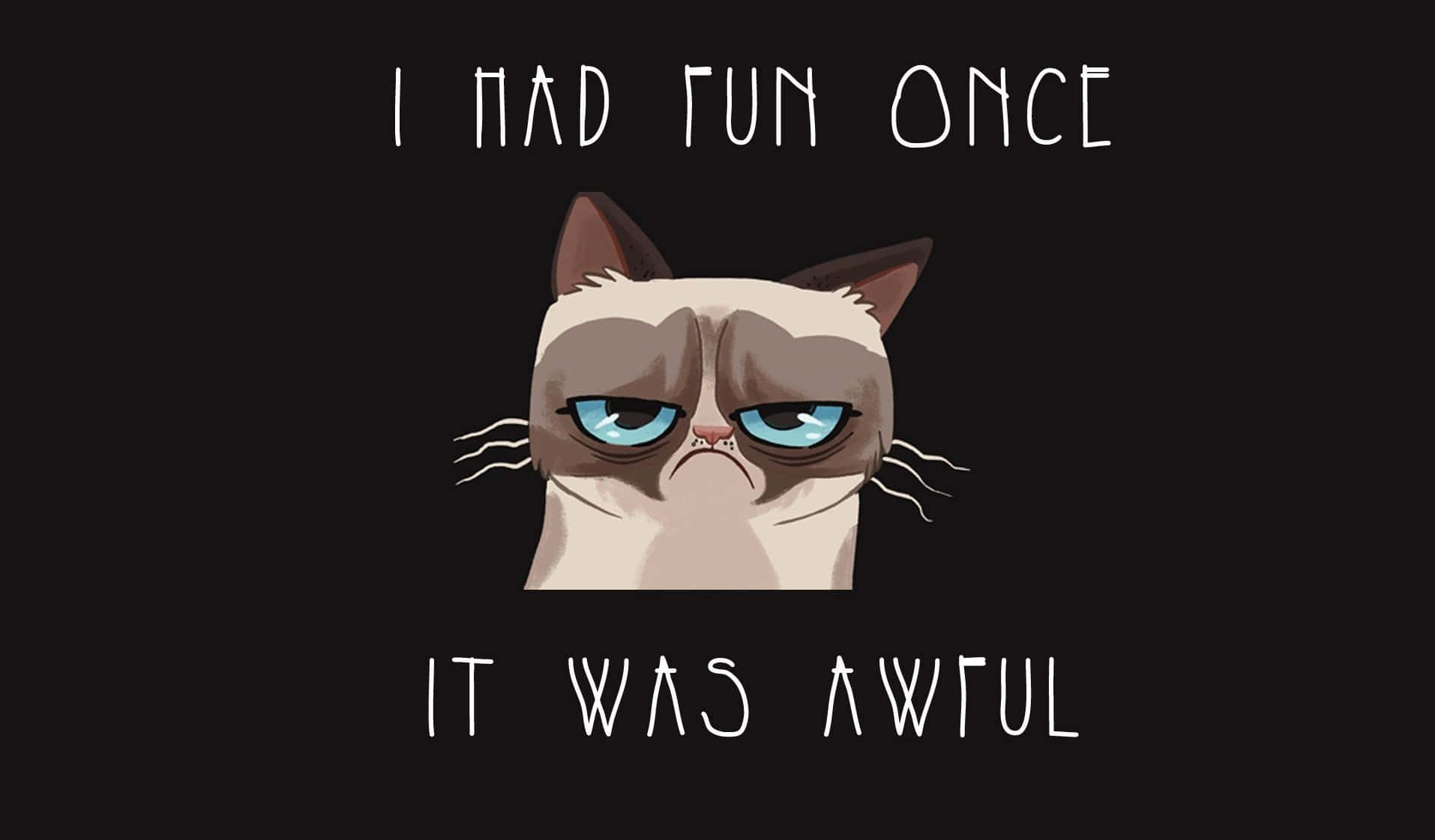 grumpy cat, blue eyes, frown, HD Desktop Wallpaper