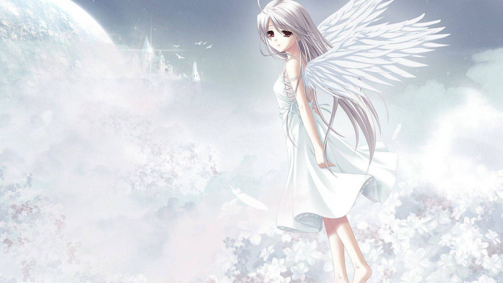 anime angel, white wings, floating cherry blossoms, Full HD Desktop Wallpaper