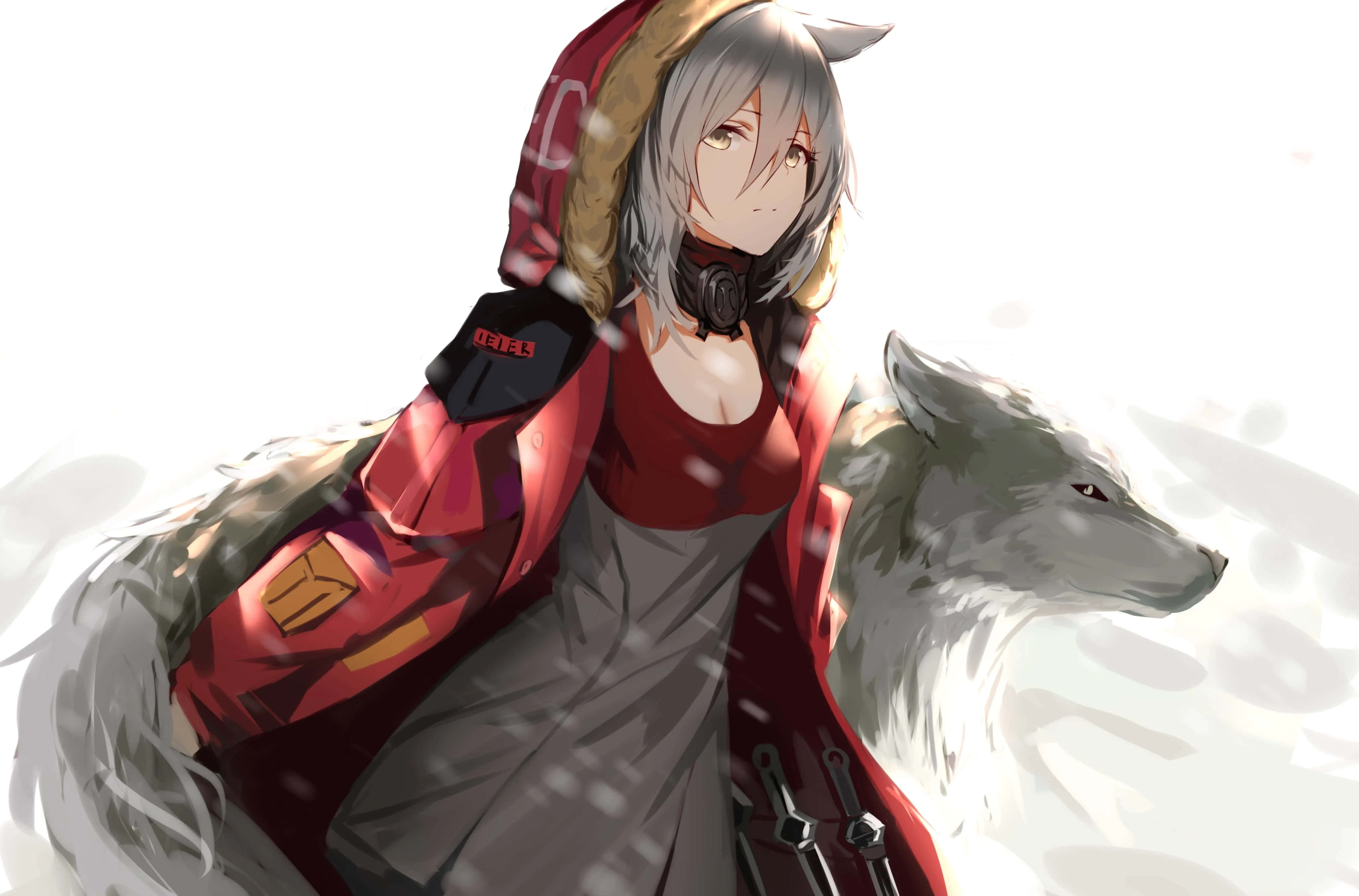 silver-haired anime girl, red hooded coat, white wolf, 4K Desktop Wallpaper