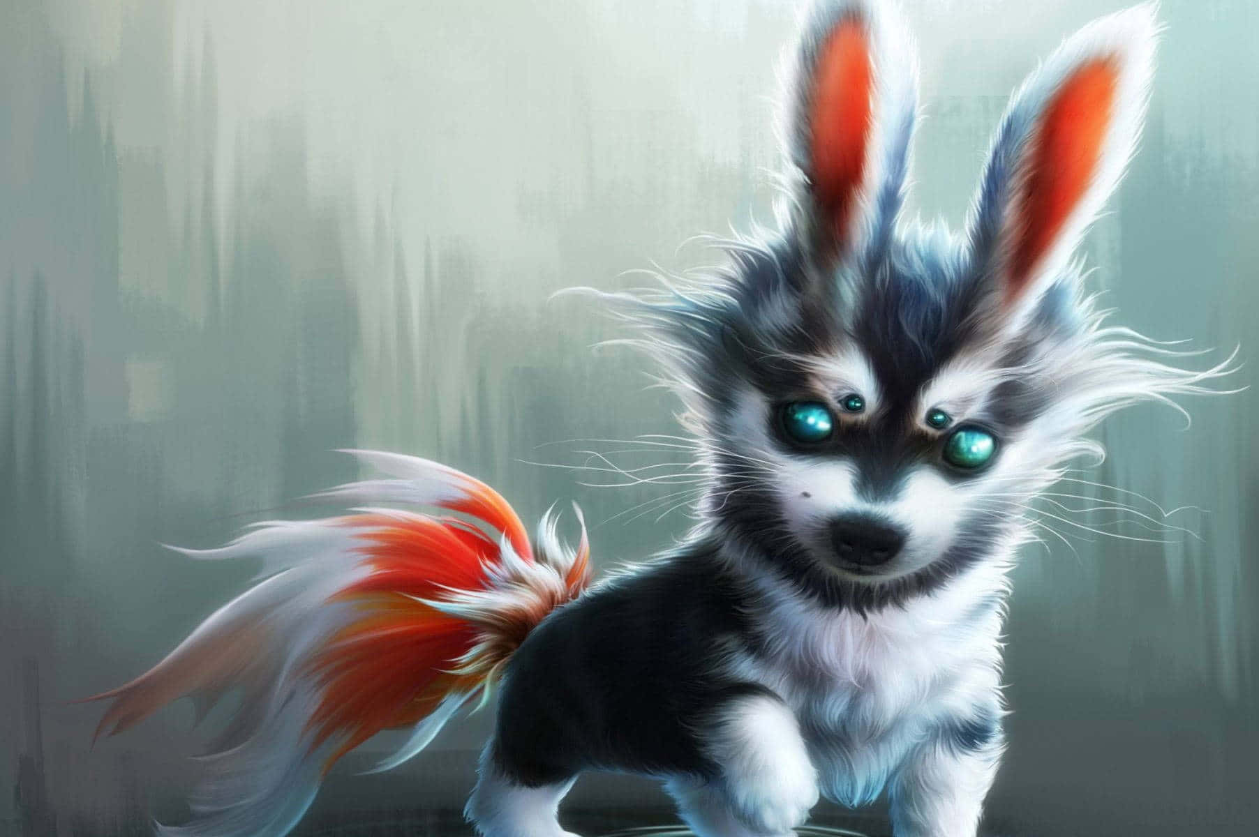 anime wolf pup, fluffy black white puppy, rabbit ears, HD Desktop Wallpaper