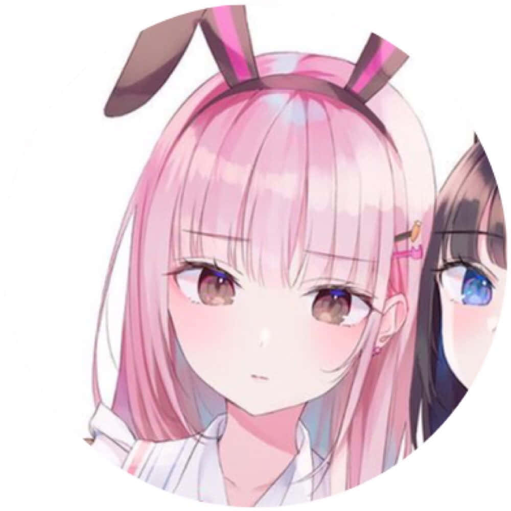 anime girl, pink hair, bunny ears, SD Desktop Wallpaper