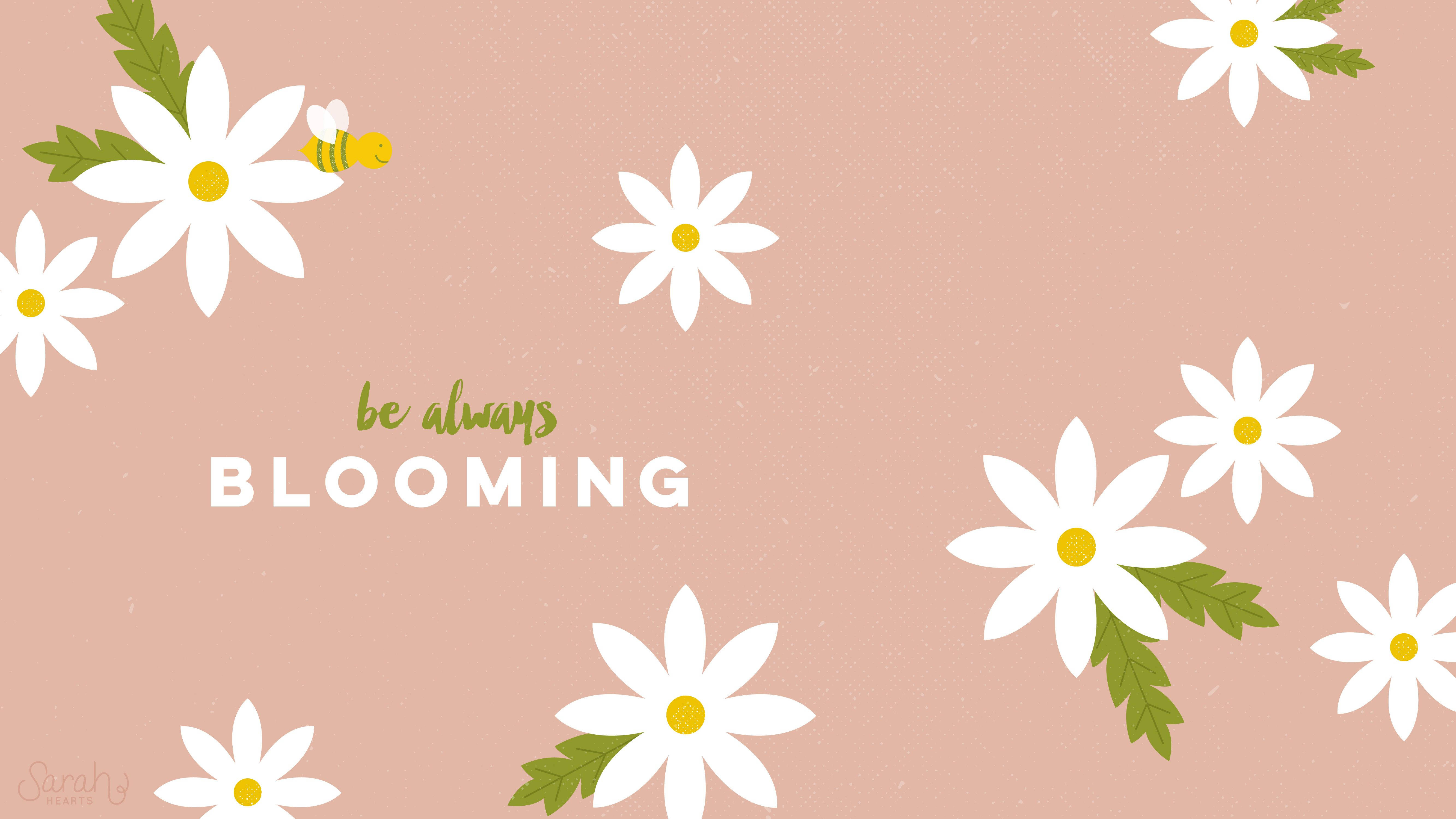 white daisies, yellow centers, green leaves, 5K Desktop Wallpaper