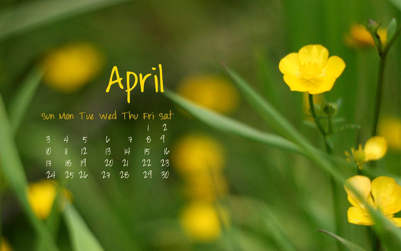 April calendar, vibrant yellow buttercups, lush green grass, HD Desktop Wallpaper