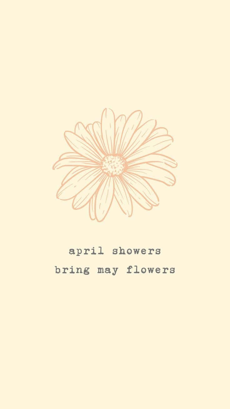 april showers bring may flowers, peach daisy, cream background, HD Phone Wallpaper