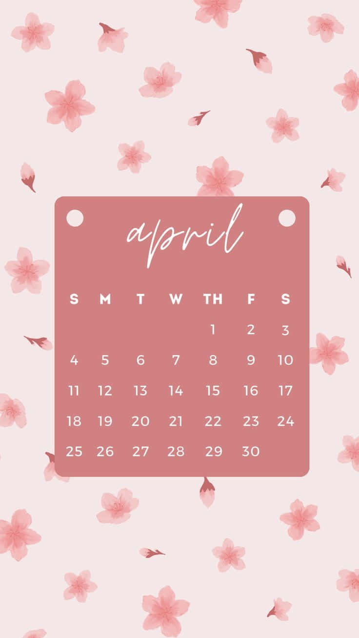 April calendar, soft pink, delicate cherry blossoms, HD Phone Wallpaper
