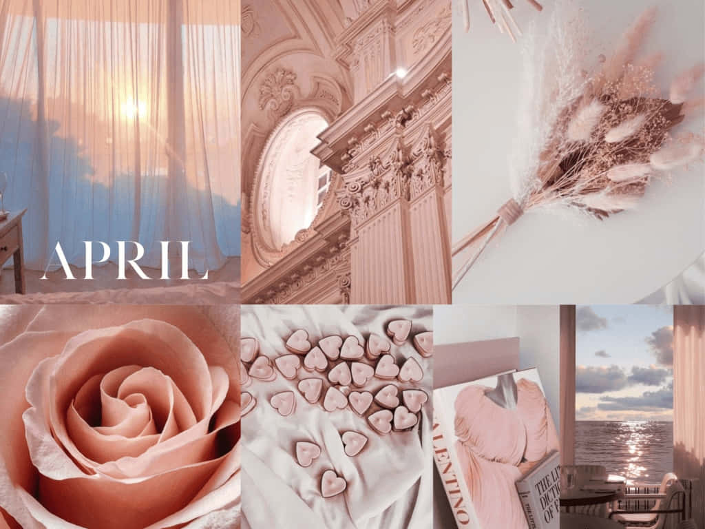 soft pink, peach-toned, sunrise through curtains, SD Desktop Wallpaper