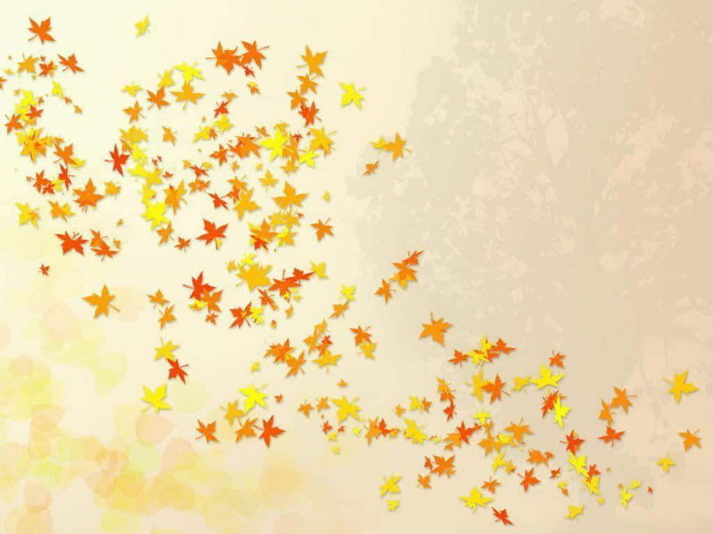 orange, yellow, maple leaves, SD Desktop Wallpaper