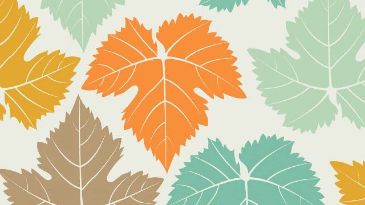 autumn forest, orange yellow brown teal, stylized autumn leaves, HD Desktop Wallpaper