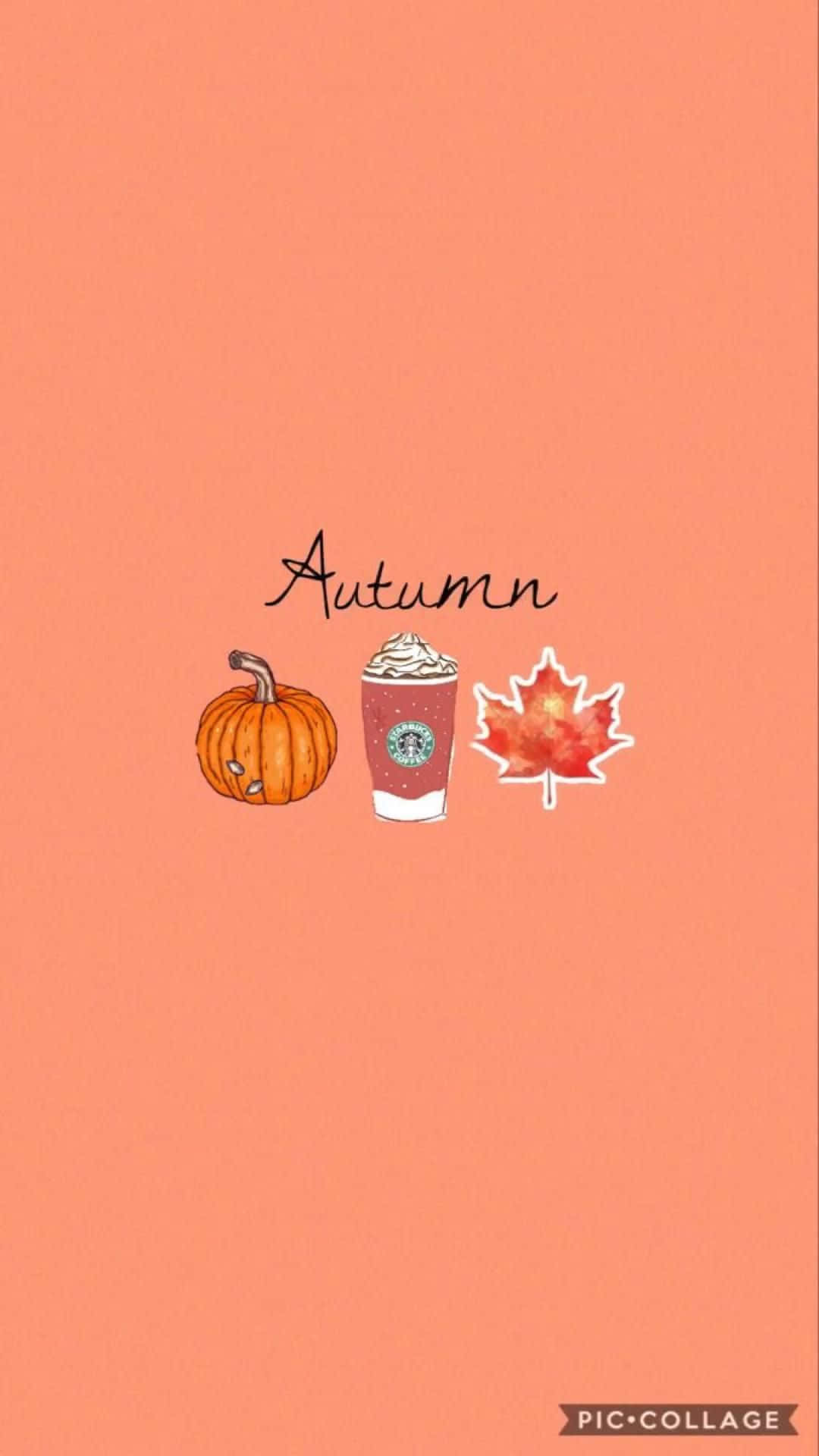 Cute iPhone, pumpkin, Starbucks drink, Full HD Phone Wallpaper