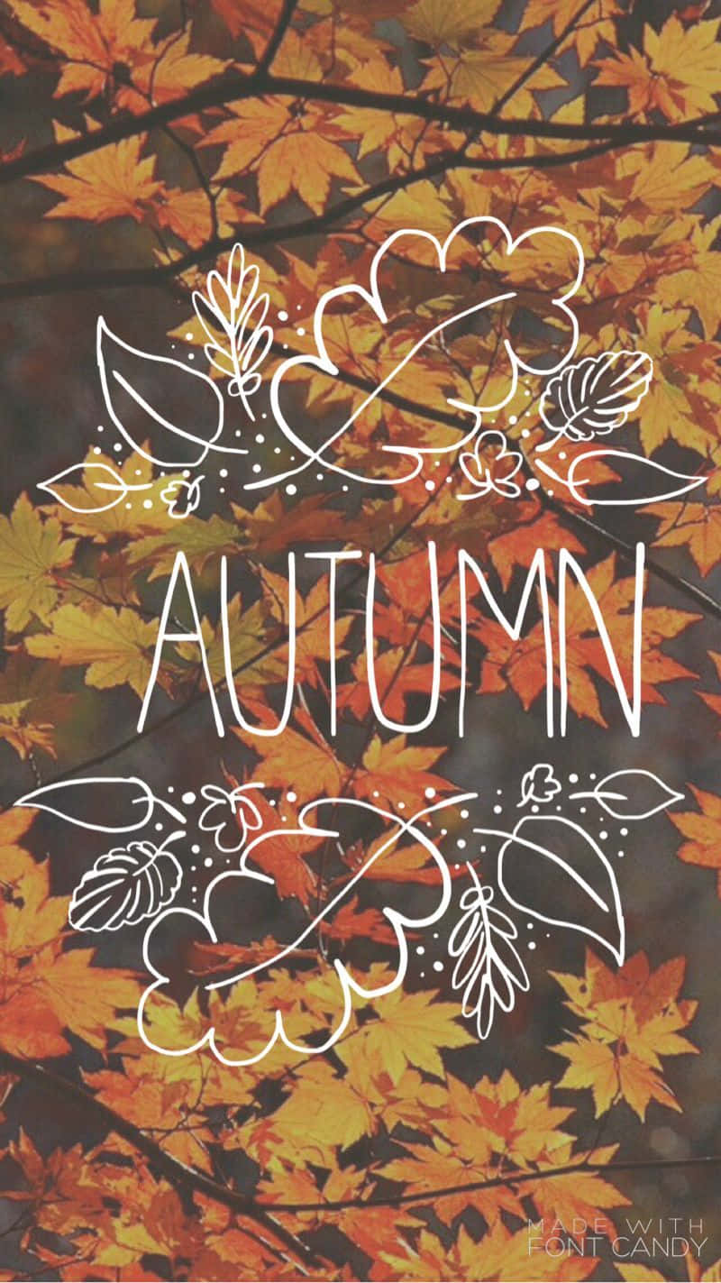 iPhone, autumn, orange, HD Phone Wallpaper