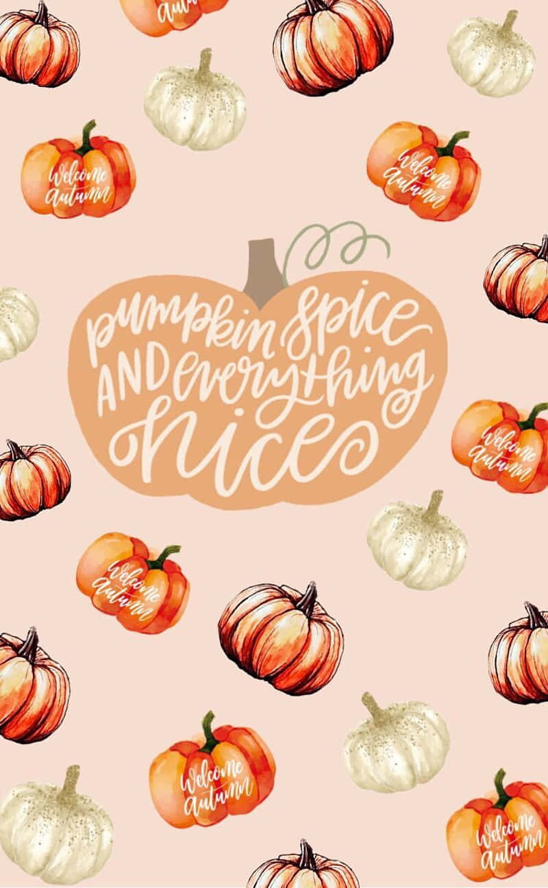 Cute Autumn iPhone, orange and white pumpkins, blush background, HD Phone Wallpaper