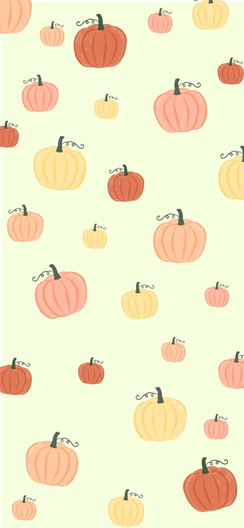 iPhone, pumpkins, warm autumn hues, HD Phone Wallpaper