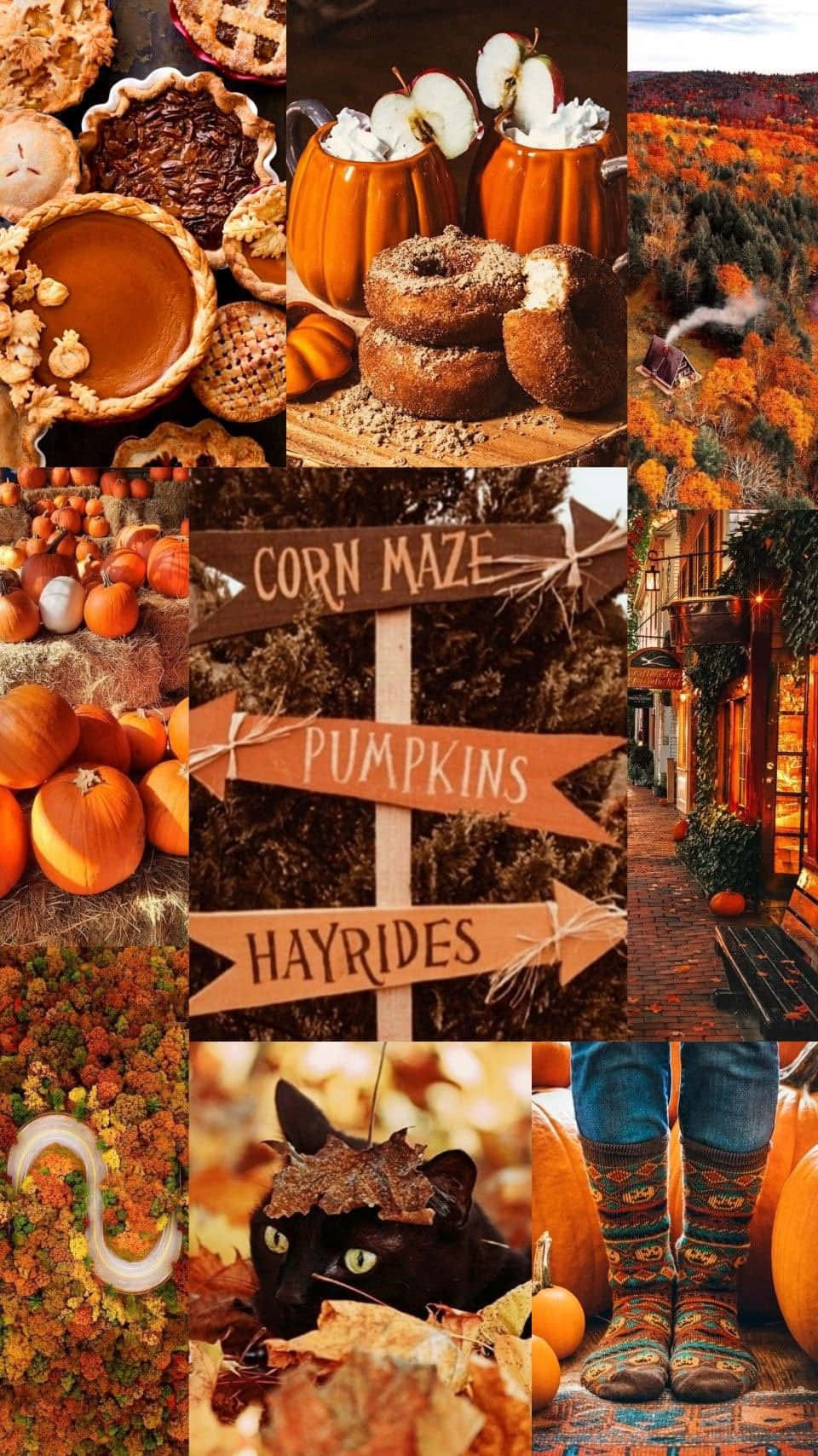 Cute Autumn Festivities, pumpkins, pies, HD Phone Wallpaper