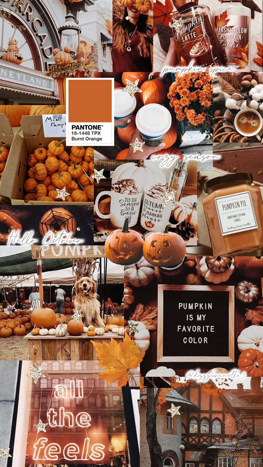 cute autumn, pumpkins, lattes, Full HD Phone Wallpaper