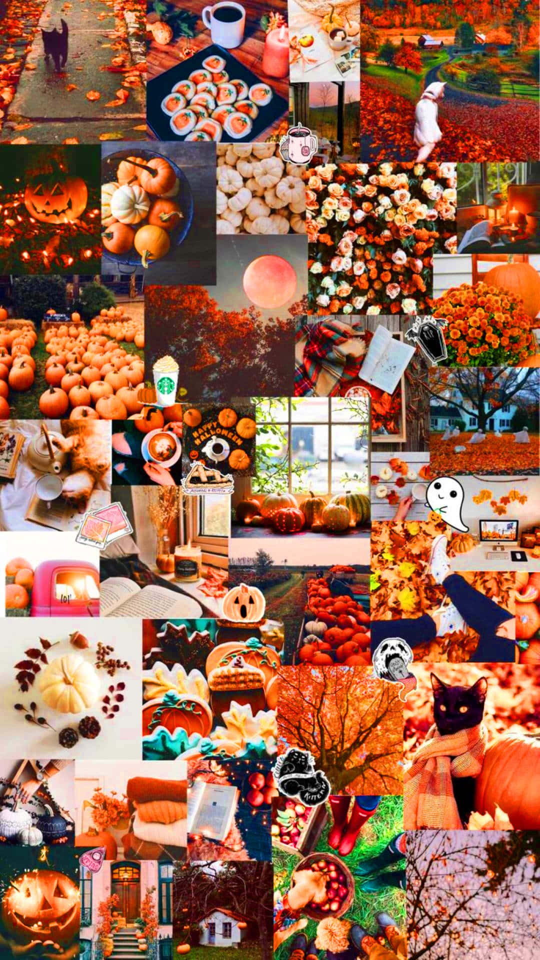 Cute Autumn, pumpkins, jack-o-lanterns, Full HD Phone Wallpaper