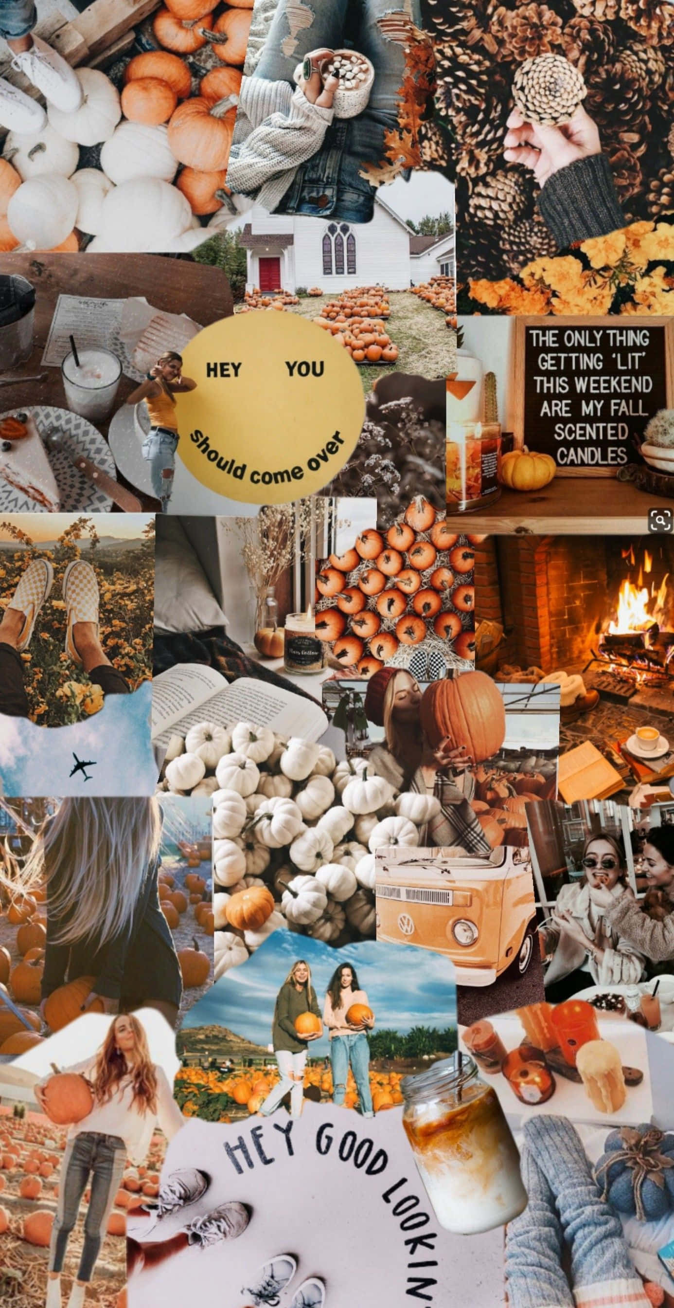 autumn, pumpkins, pinecones, 2K Phone Wallpaper