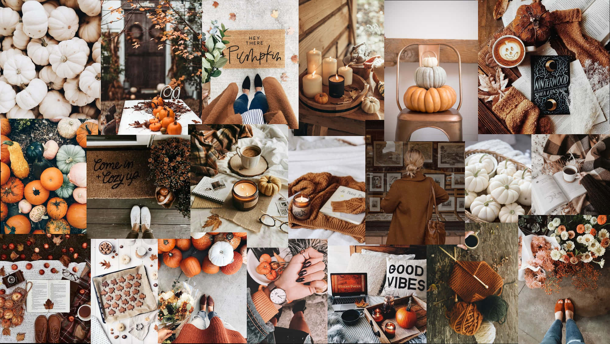 cozy sweater, crisp autumn night, pumpkins, Full HD Desktop Wallpaper