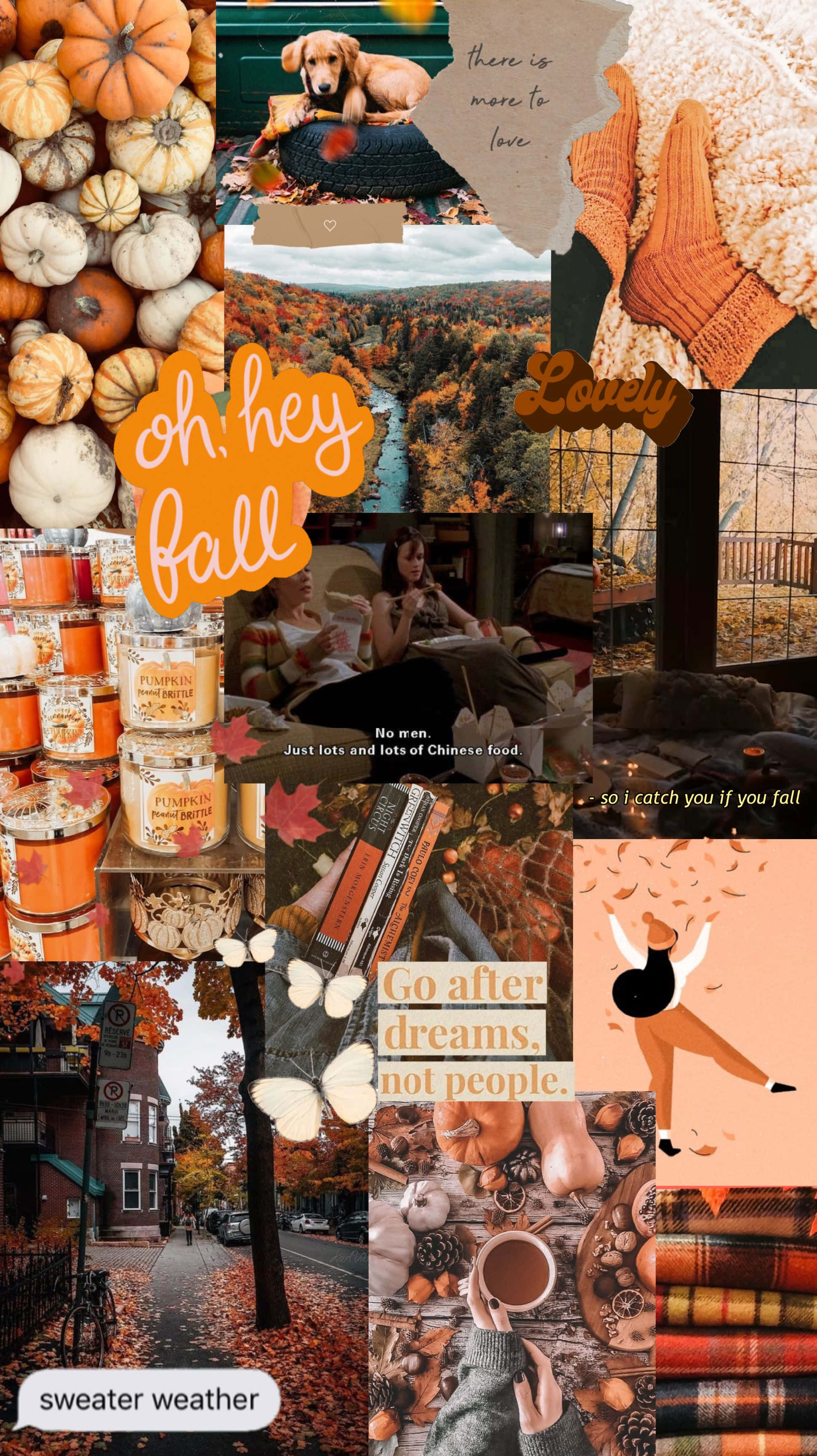 cute autumn, pumpkins, sweaters, 2K Phone Wallpaper