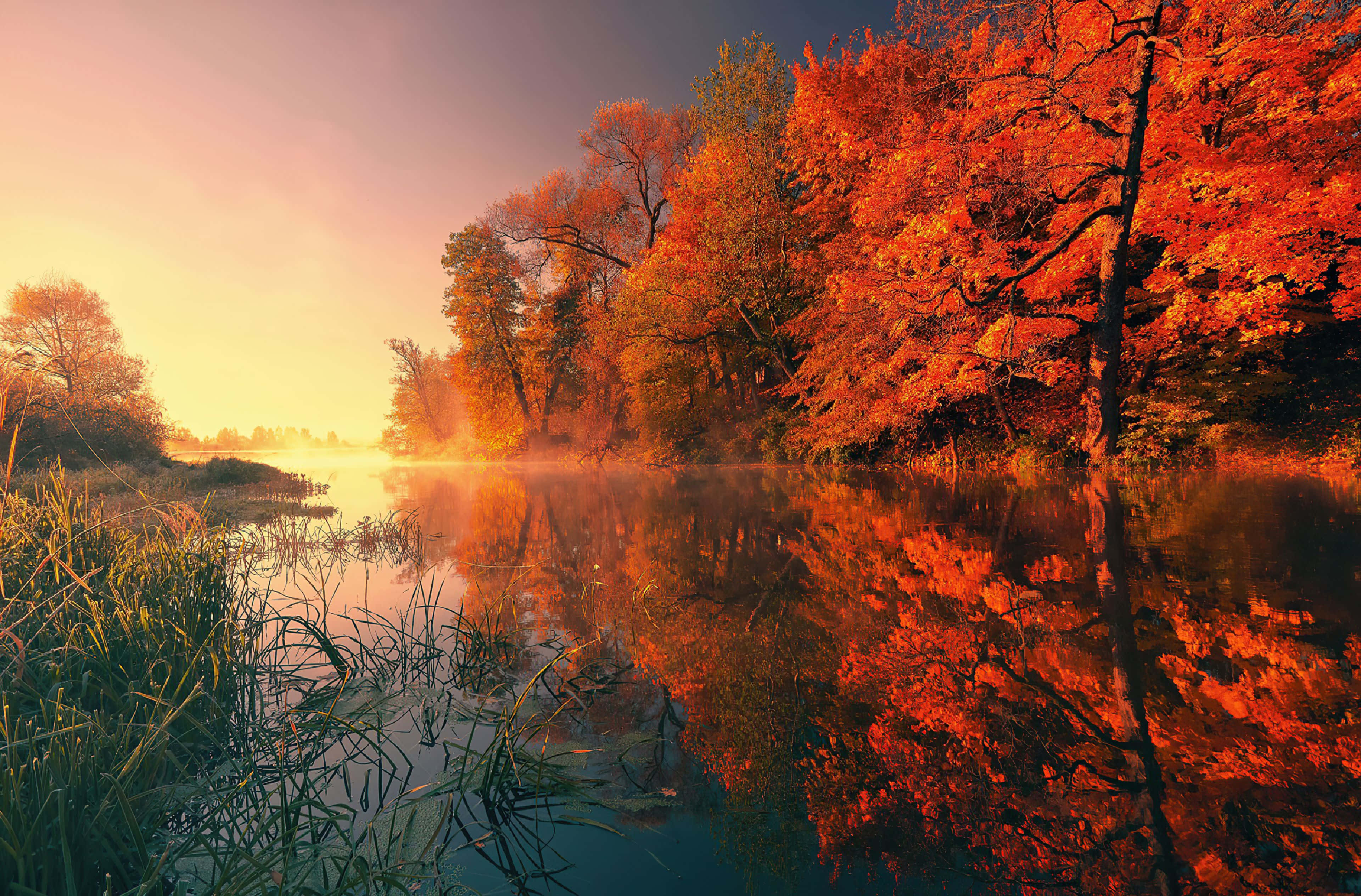 Cute Autumn, mirrored lake, fiery orange leaves, 4K Desktop Wallpaper