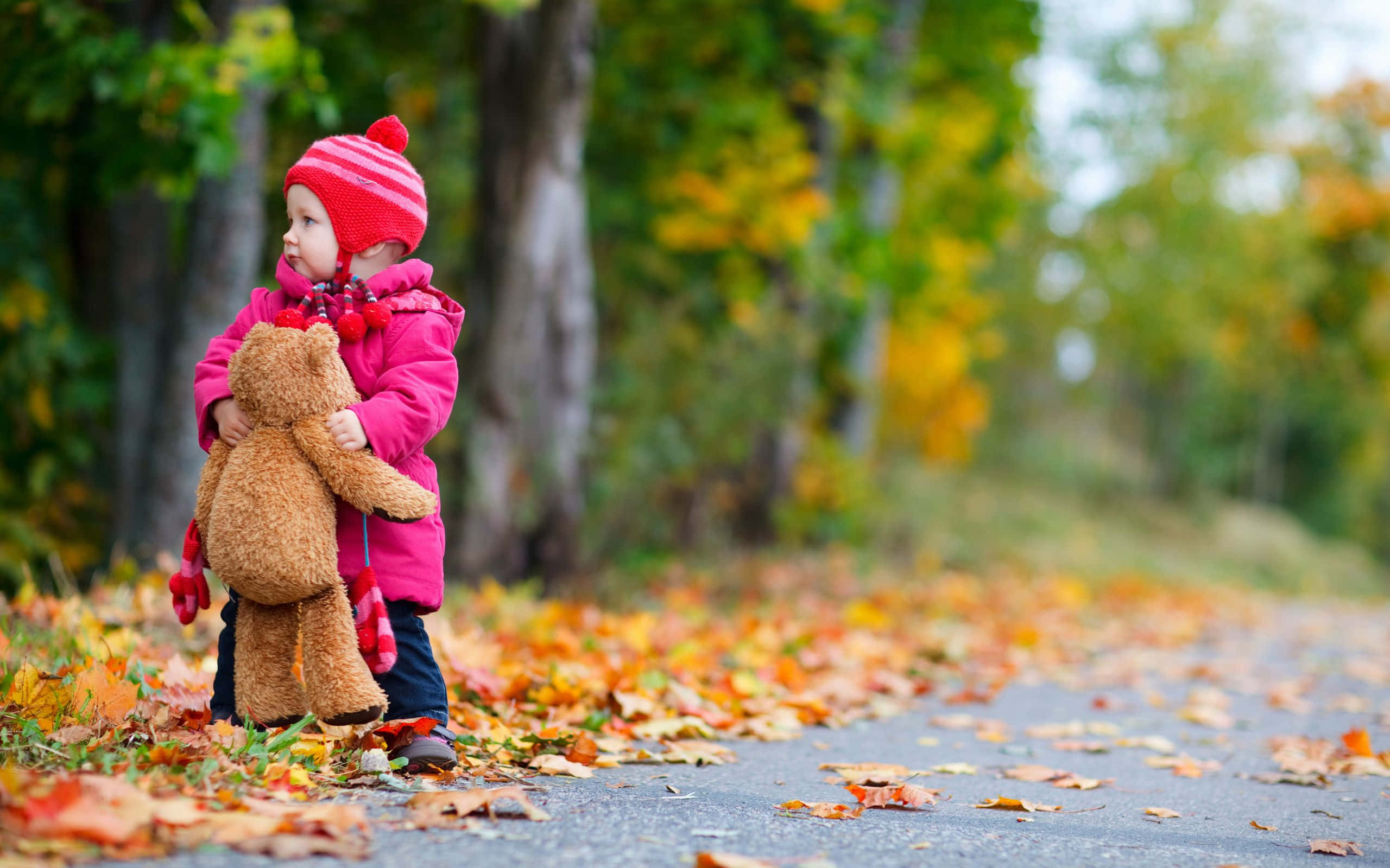 pink coat, red hat, teddy bear, 2K Desktop Wallpaper