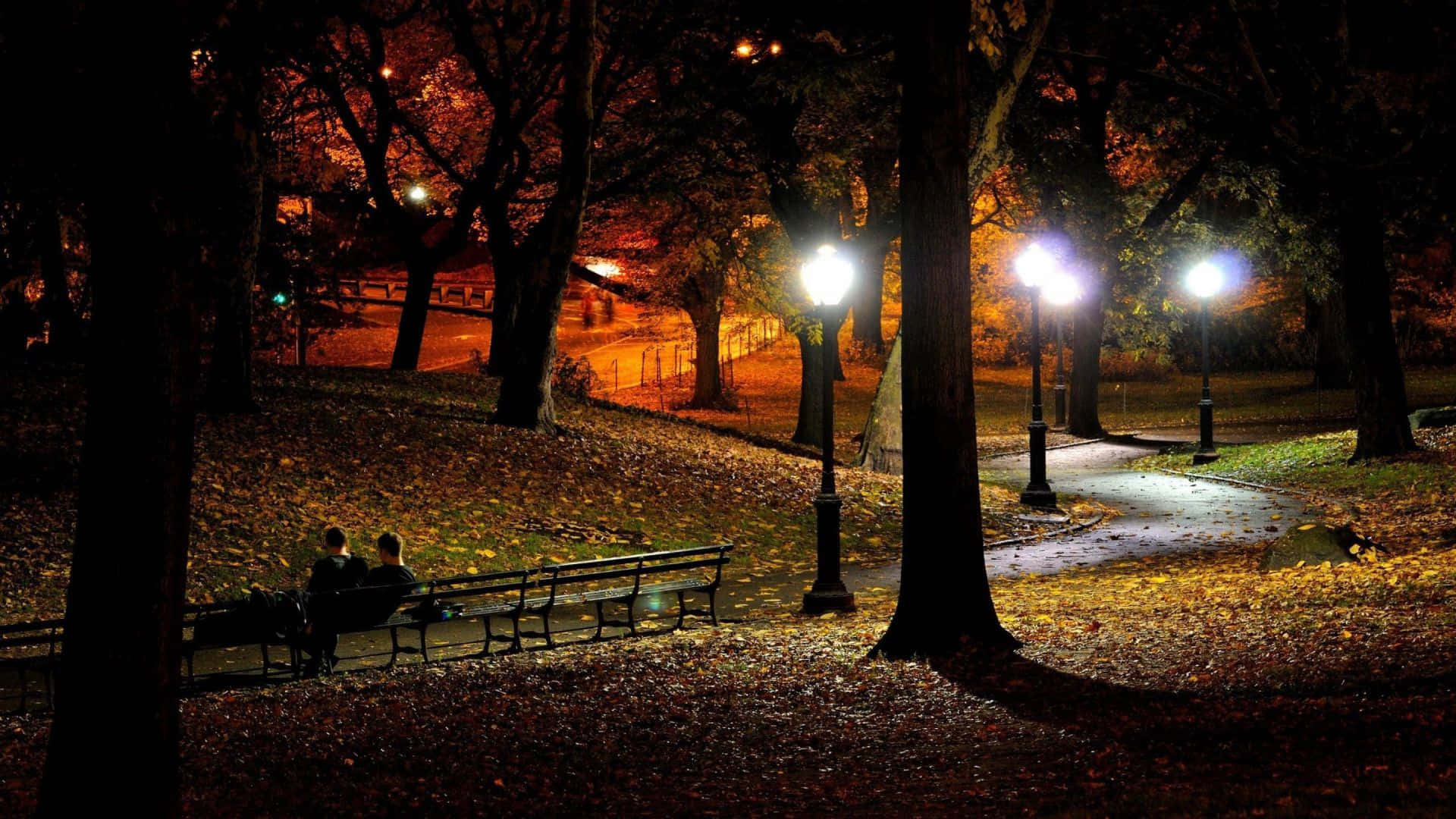 autumn evening, 1920 x 1080 wallpaper, glowing streetlights, Full HD Desktop Wallpaper