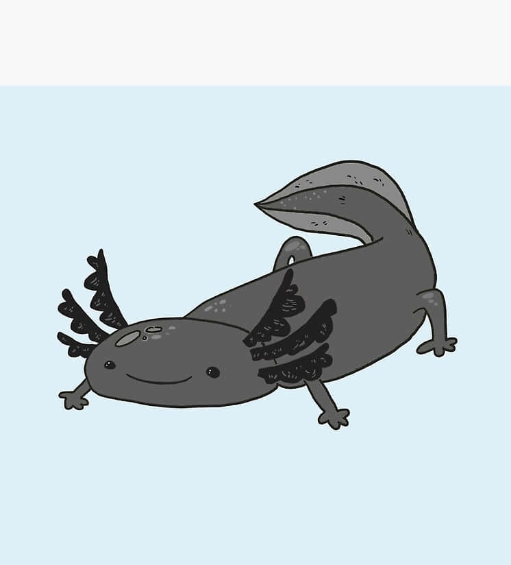 cute axolotl, gray color, feathery gills, SD Phone Wallpaper
