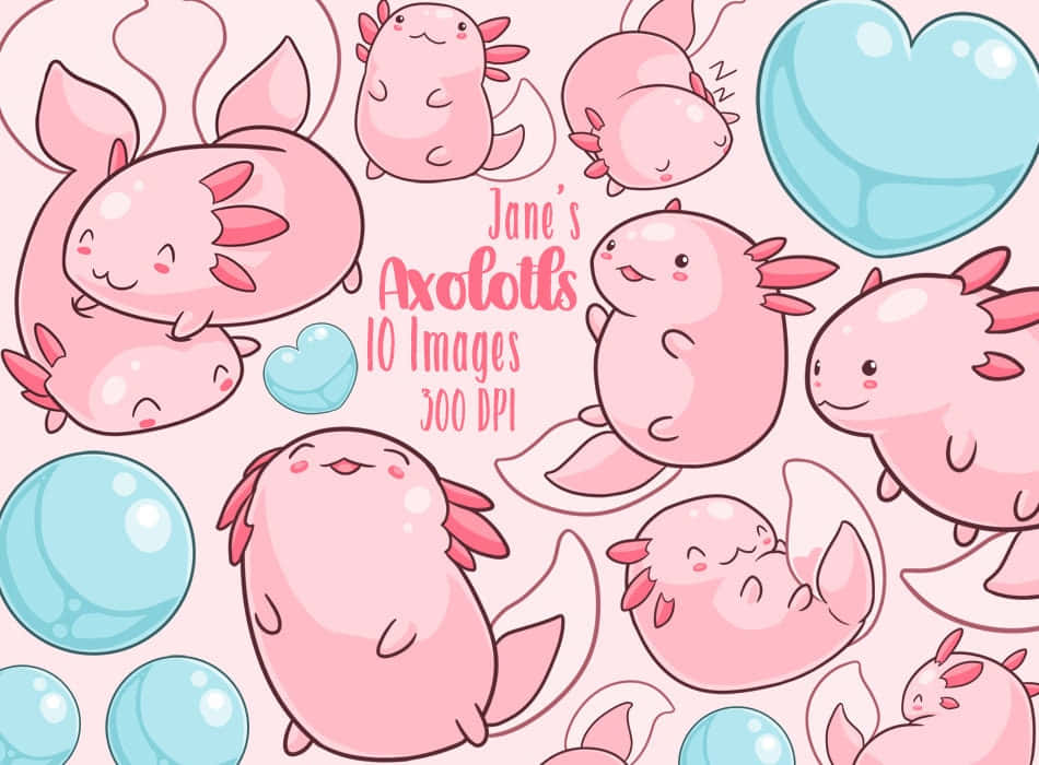 cute axolotl, pink axolotls, red gills, SD Desktop Wallpaper
