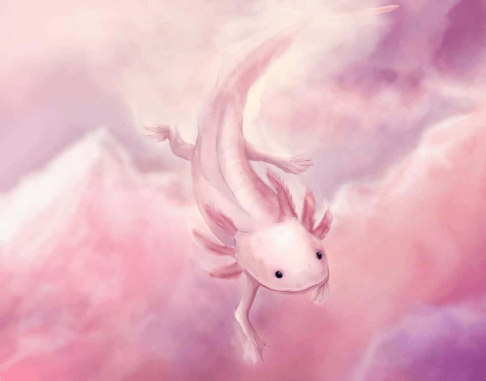 pink aesthetic, cute axolotl, digital painting, SD Desktop Wallpaper