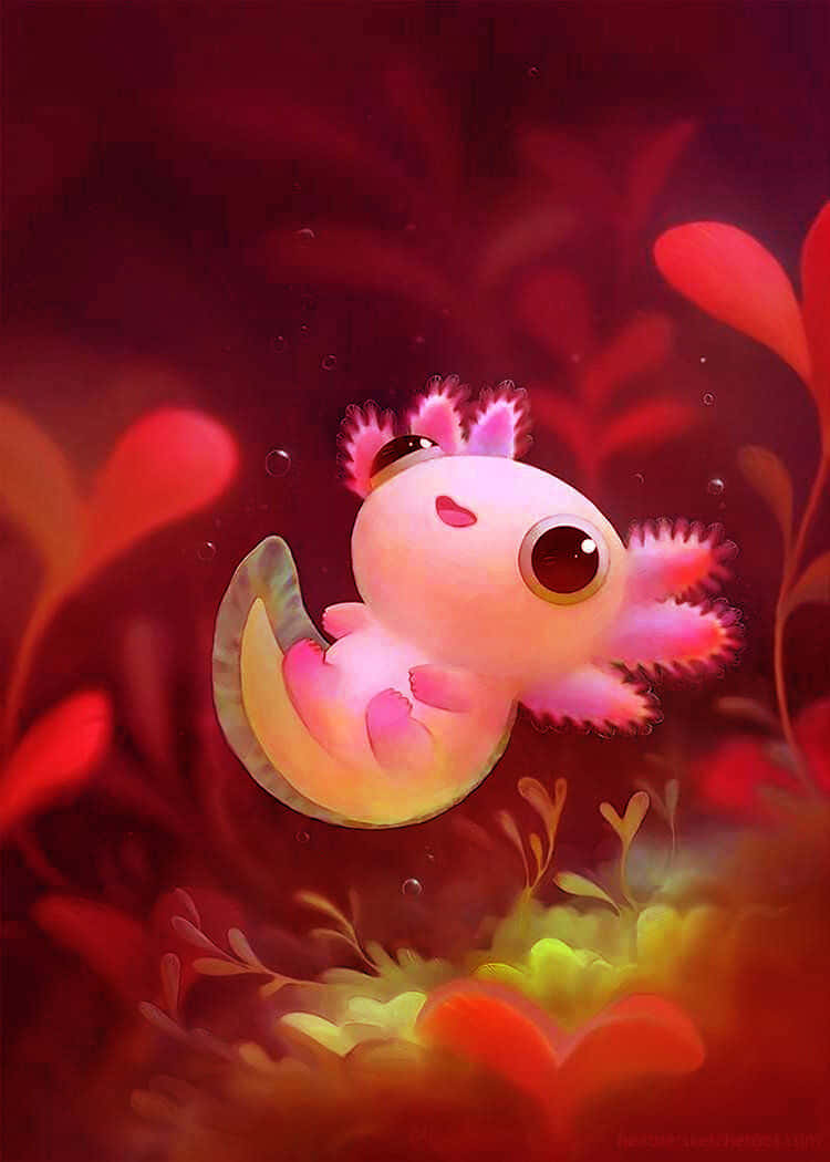 red aesthetic, cute axolotl, pink axolotl, SD Phone Wallpaper