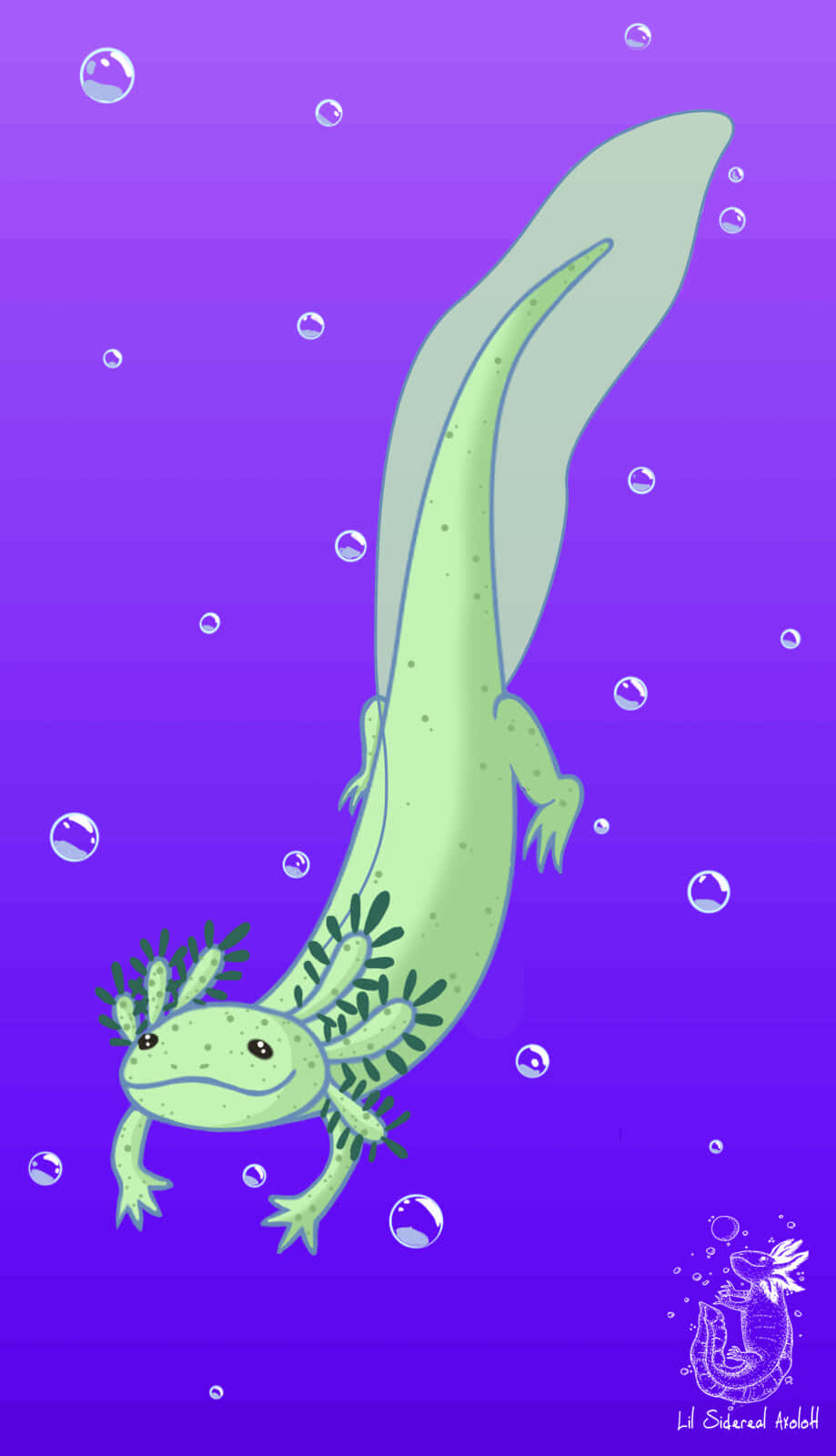 cute axolotl, green axolotl, purple water, HD Phone Wallpaper