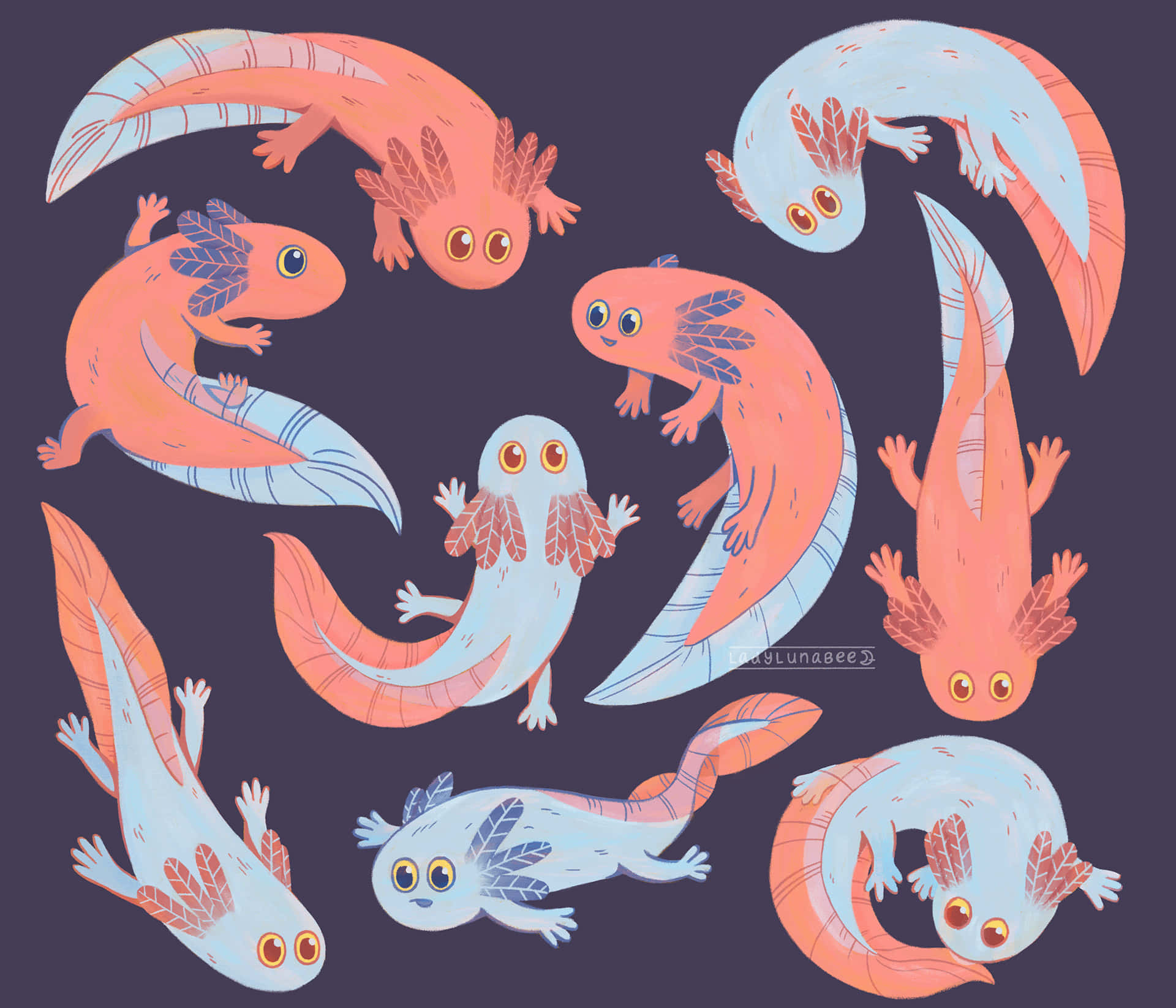 cute axolotl, pink and blue, long tails, Full HD Desktop Wallpaper