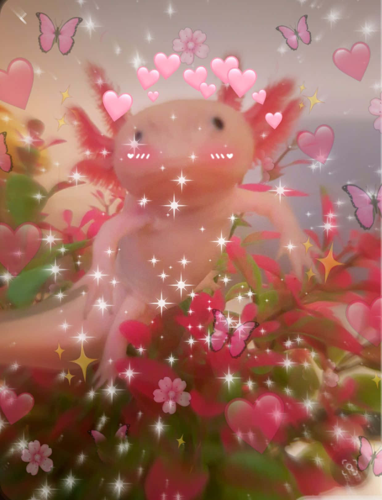 pink aesthetic, cute axolotl, hearts, HD Phone Wallpaper
