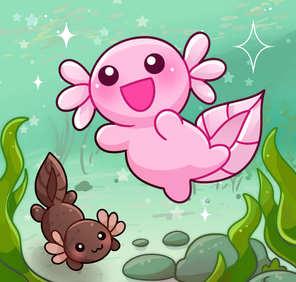 pink axolotl, flower-like appendages, brown axolotl, SD Desktop Wallpaper