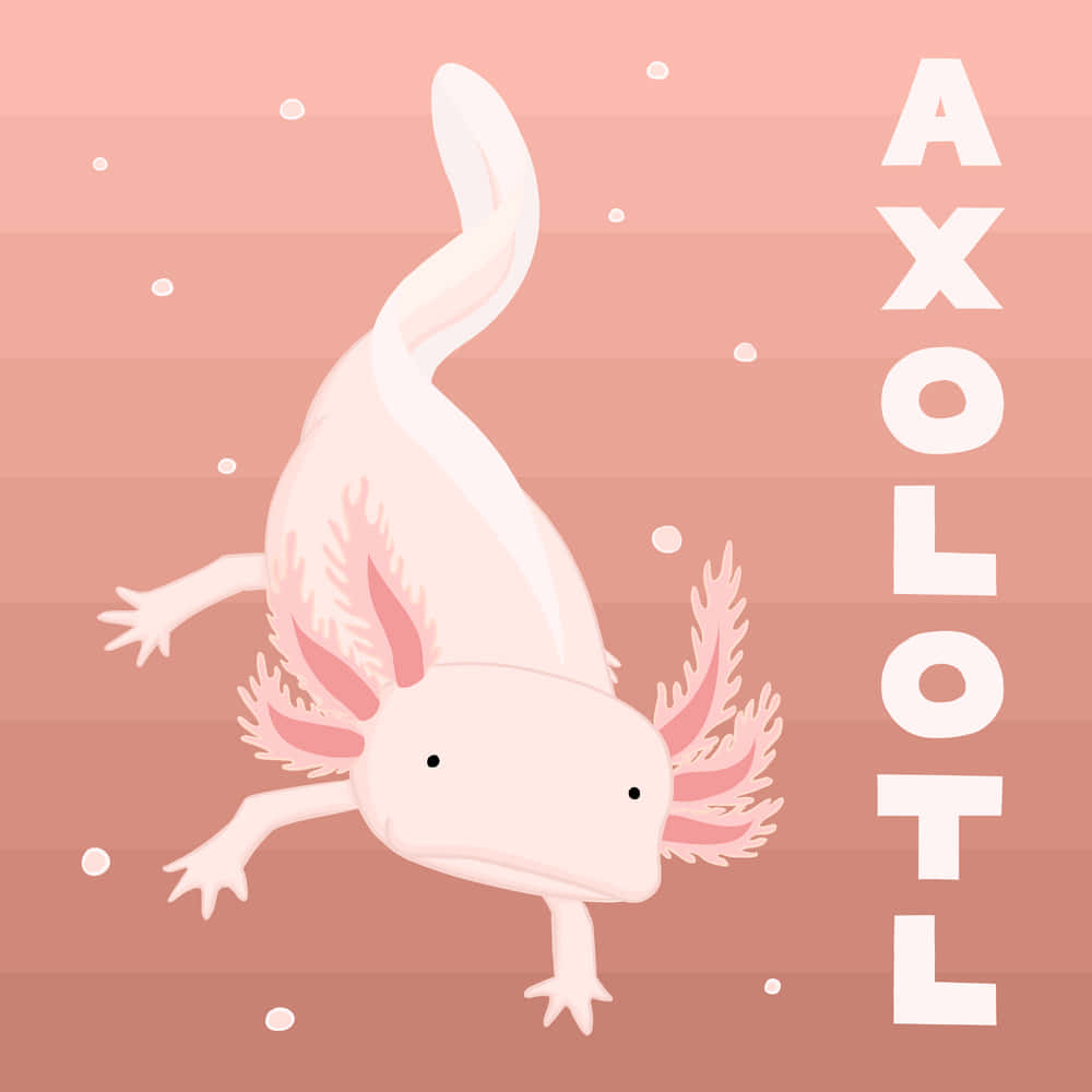 cute axolotl, pink themed digital artwork, magical pink universe, SD Desktop Wallpaper