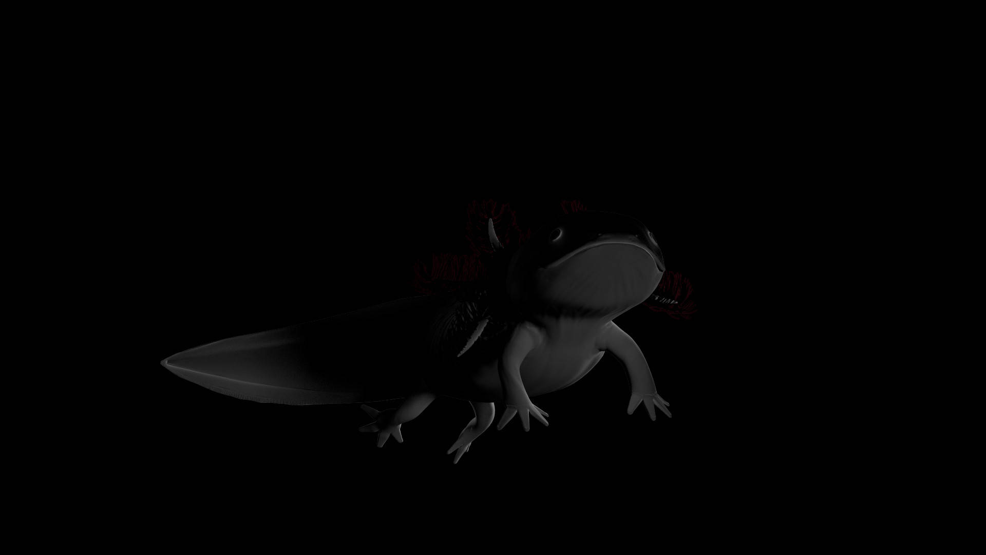 axolotl, black aesthetic, feathery gills, Full HD Desktop Wallpaper