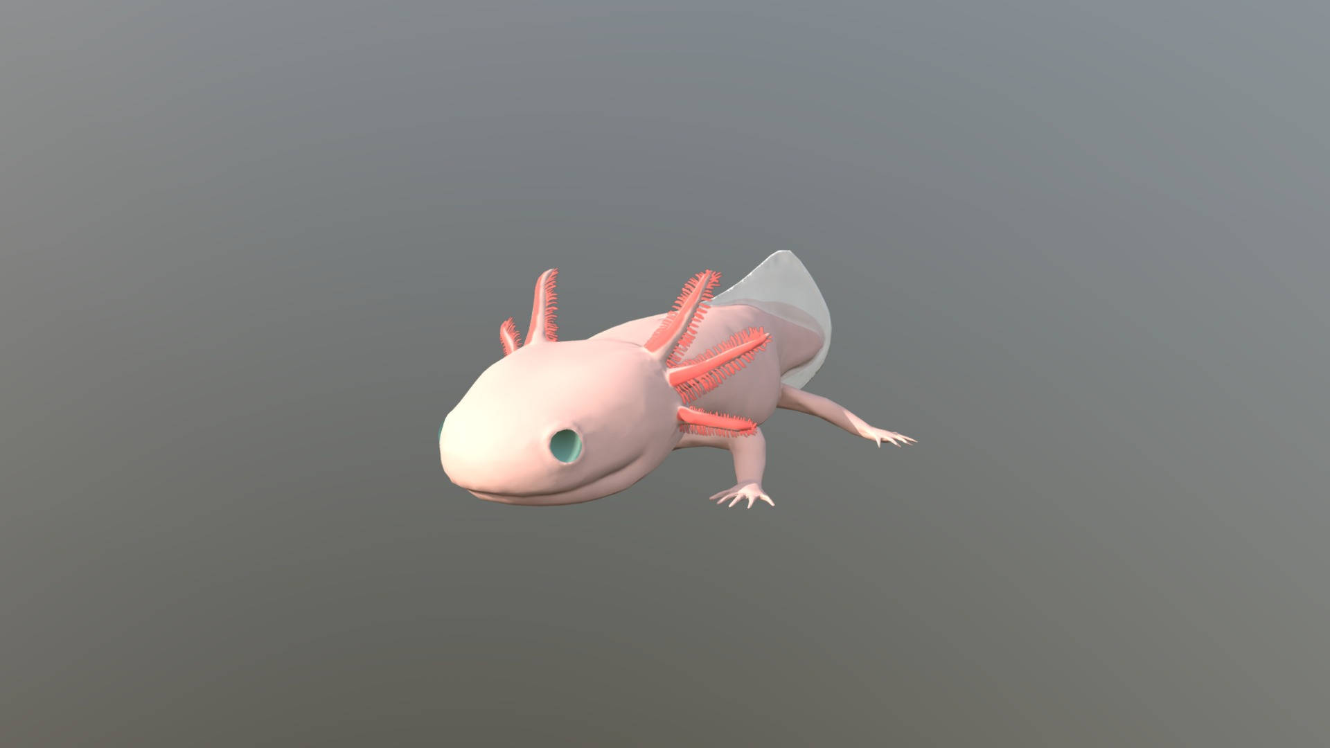 3D Pink Axolotl, pale pink axolotl, feathery orange gills, Full HD Desktop Wallpaper