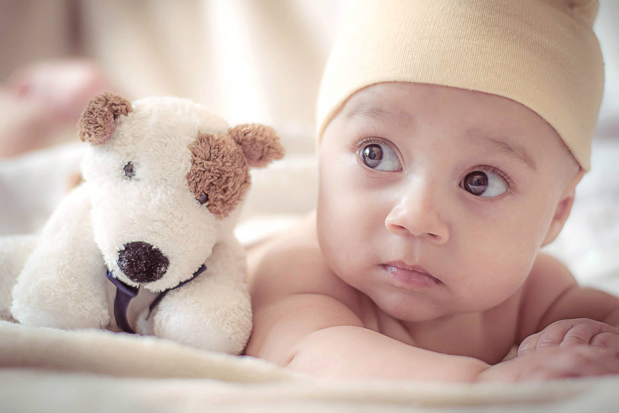beige hat, soft bedding, fluffy white teddy bear, Full HD Desktop Wallpaper