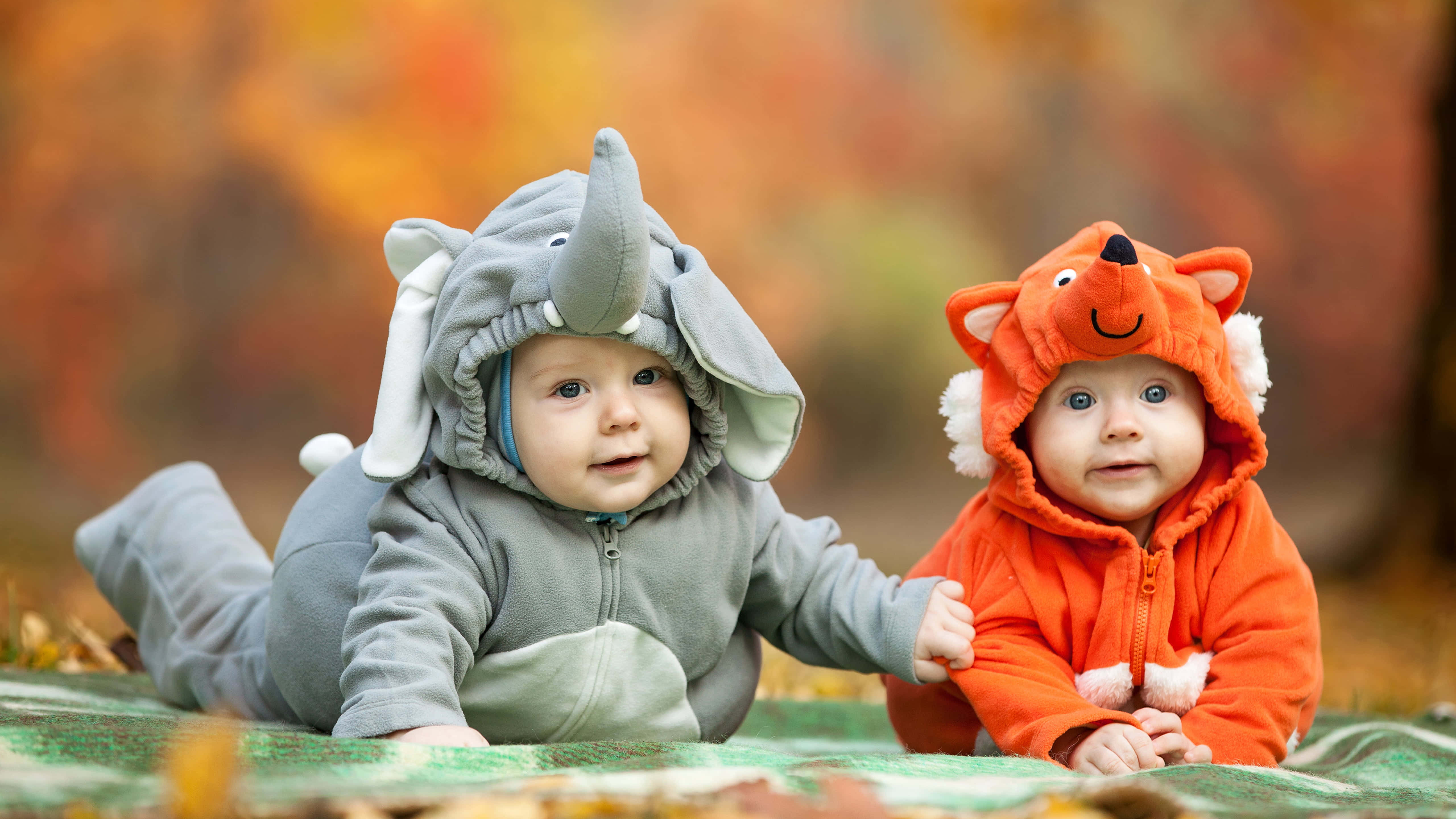 cute babies, white hat, elephant costumes, 5K Desktop Wallpaper