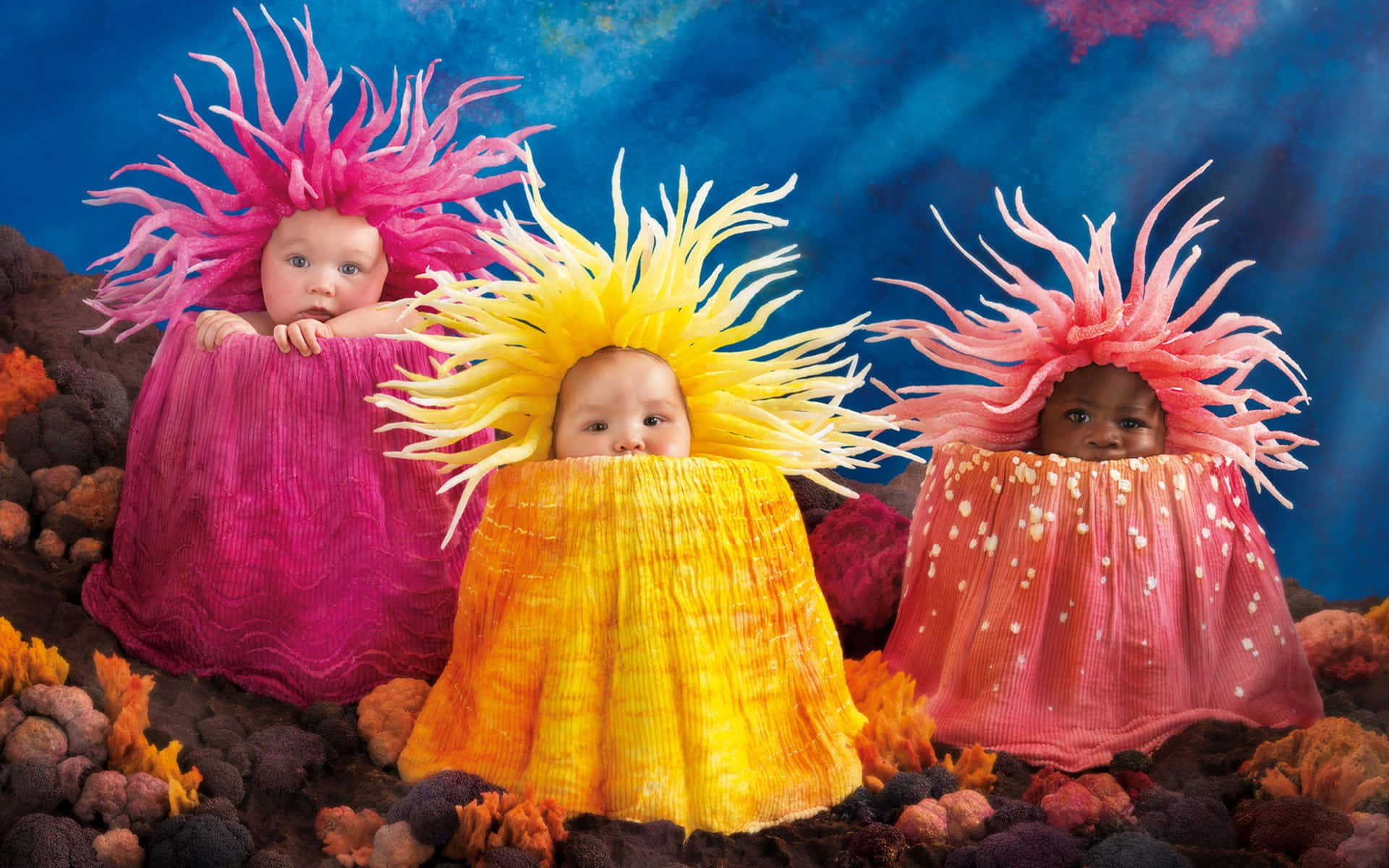 cute babies, fluffy white cushion, colorful coral-like costumes, Full HD Desktop Wallpaper
