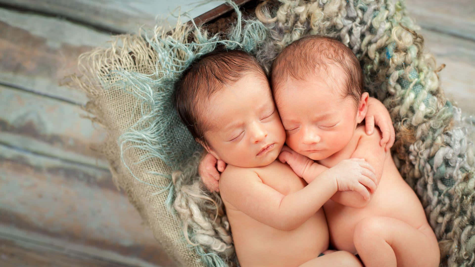 newborn twins, soft textured basket, rustic wooden surface, Full HD Desktop Wallpaper