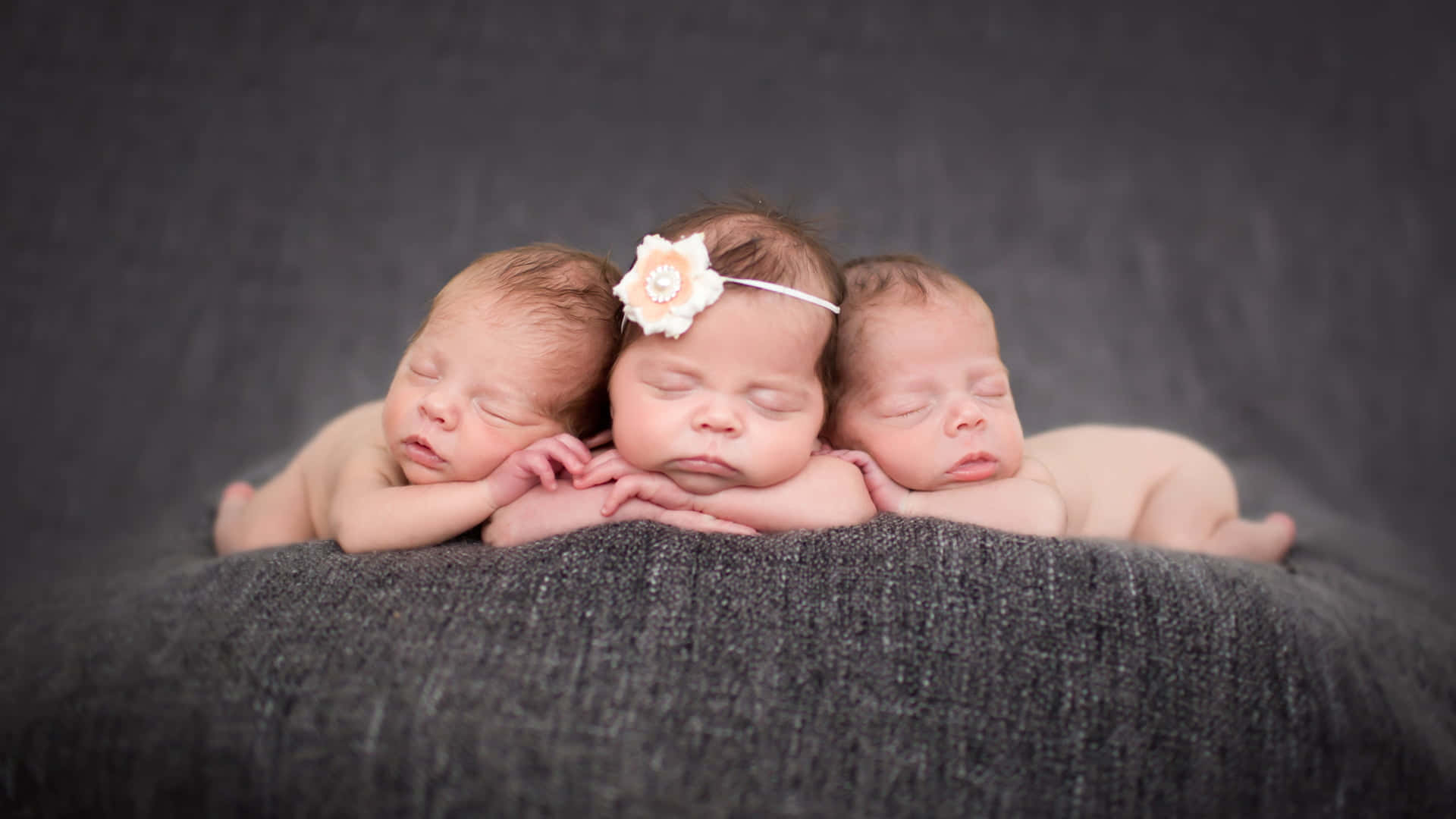 newborn twins, white knitted hat, white floral headband, Full HD Desktop Wallpaper