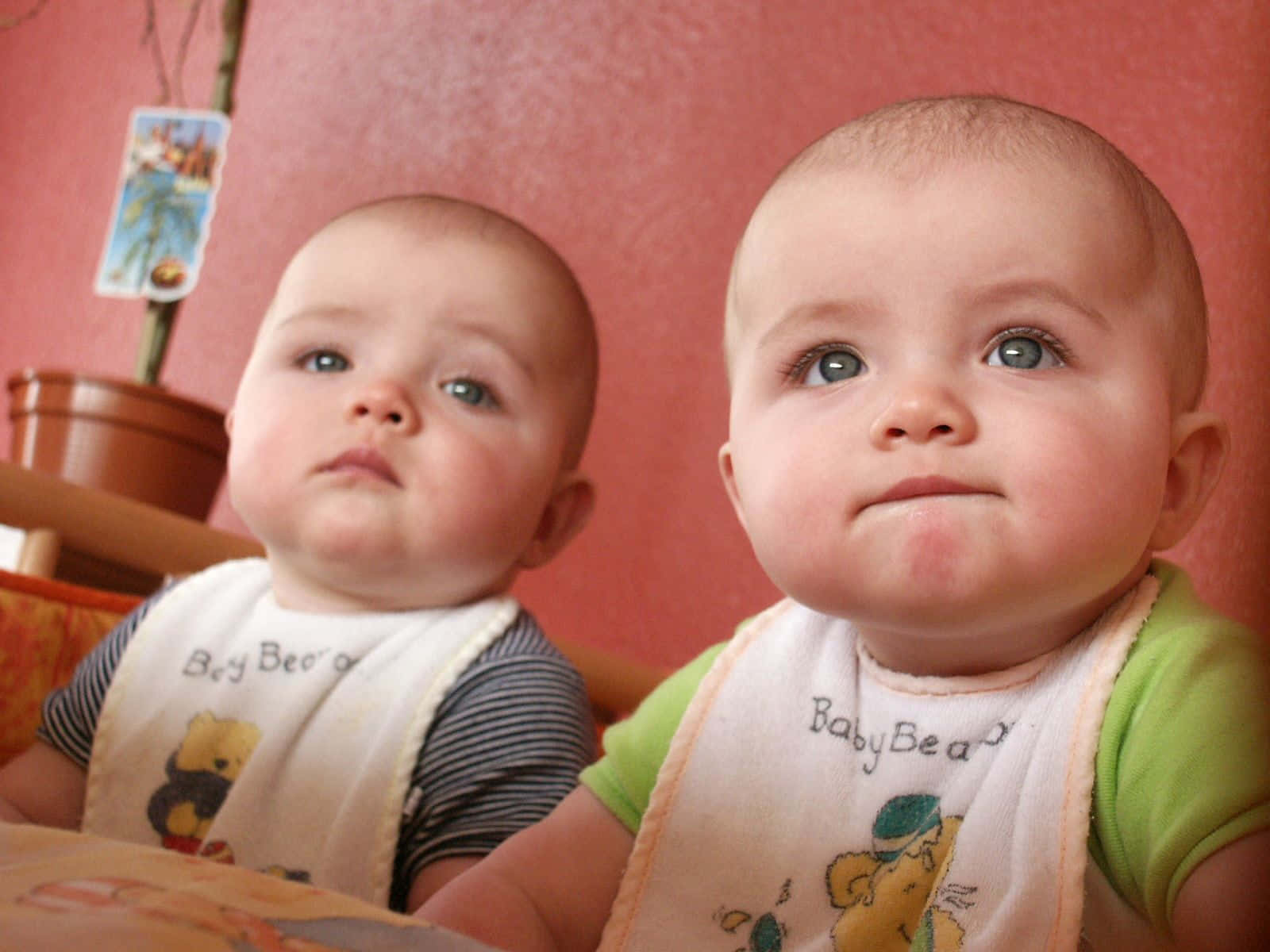 cute babies, 1600 x 1200, baby, HD Desktop Wallpaper