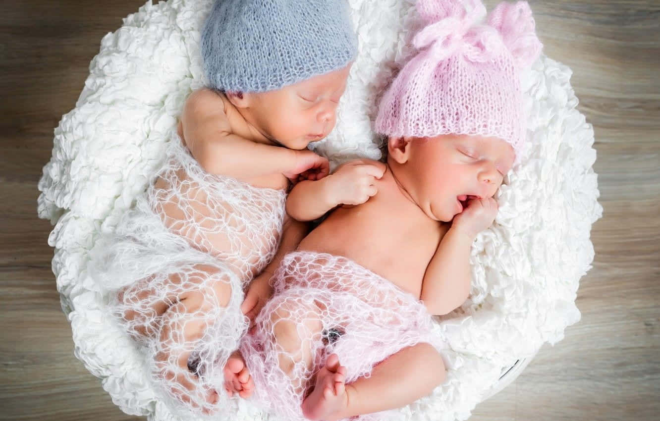 newborn twins, fluffy white nest, knit caps, HD Desktop Wallpaper