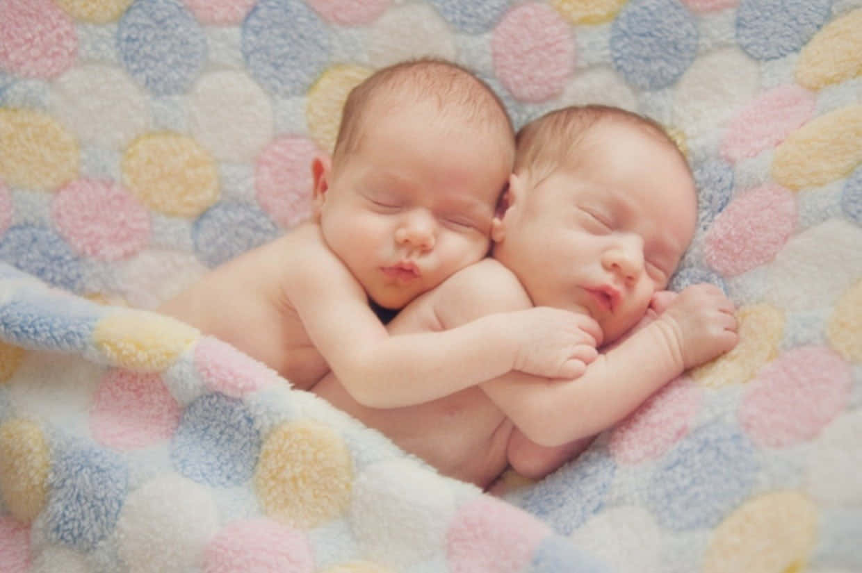 cute babies, newborn twins, soft pastel polka dot blanket, SD Desktop Wallpaper