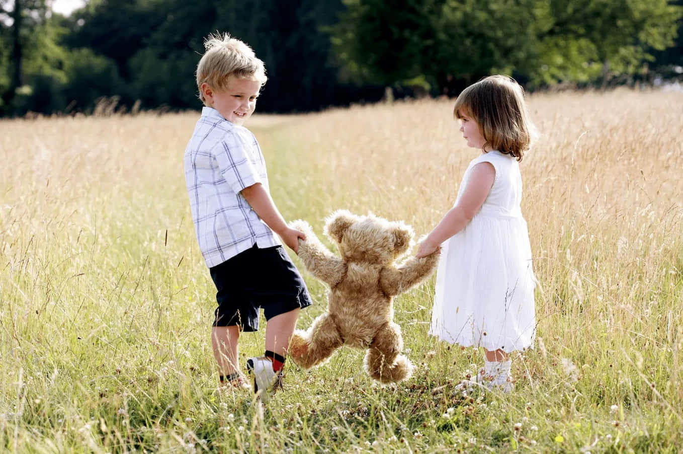 cute baby couple, teddy bear, sunlit field, HD Desktop Wallpaper